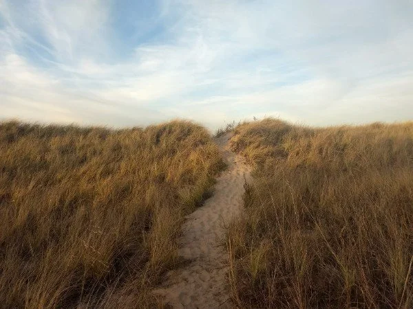 Landscape Photography