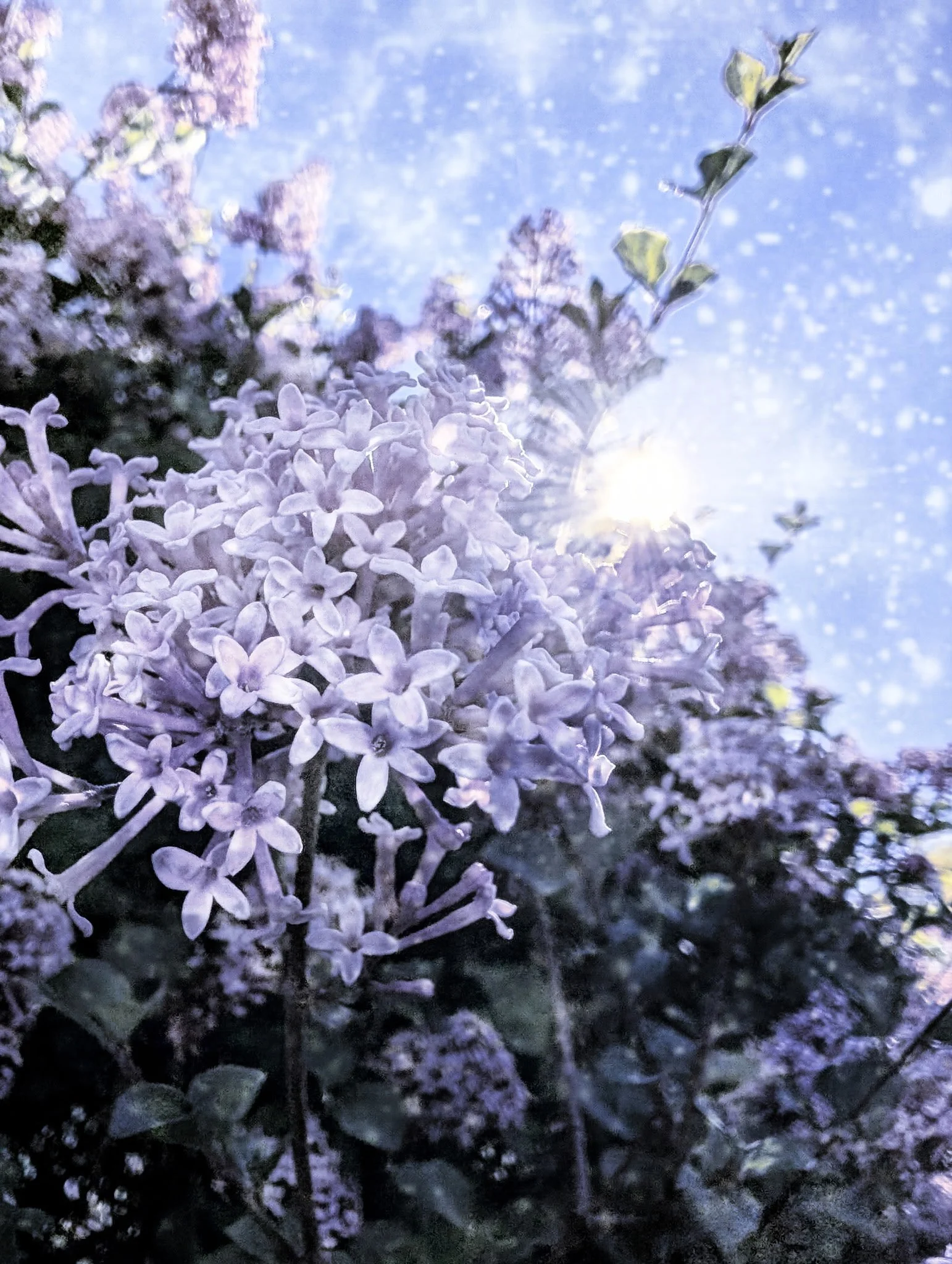 Photo Edit/Photography