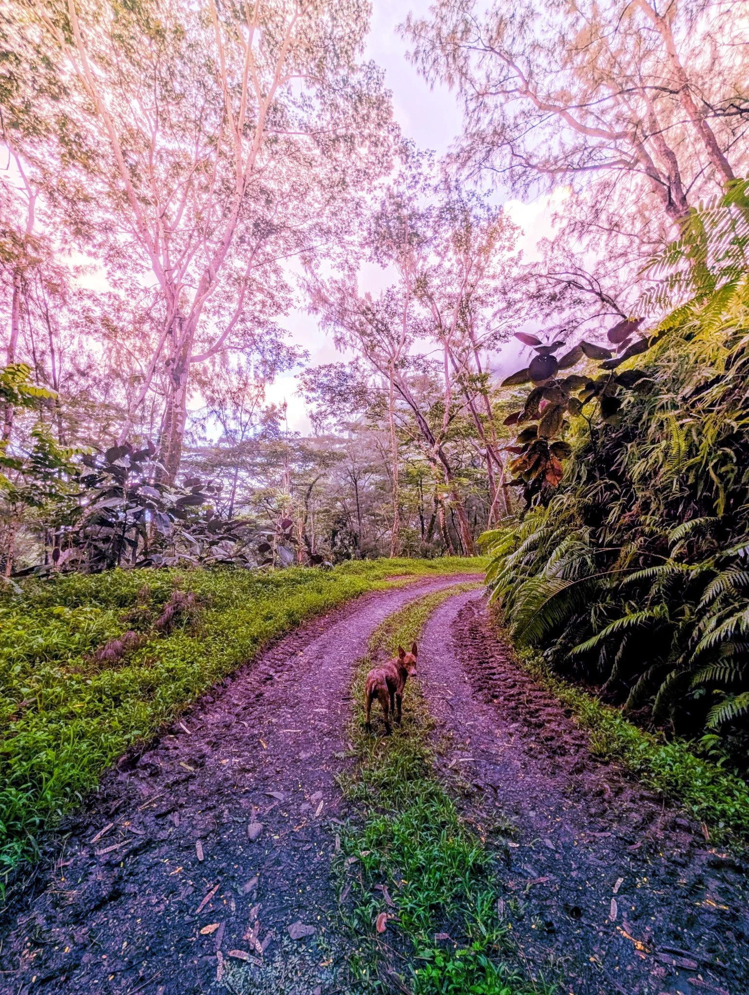 Photo Edit