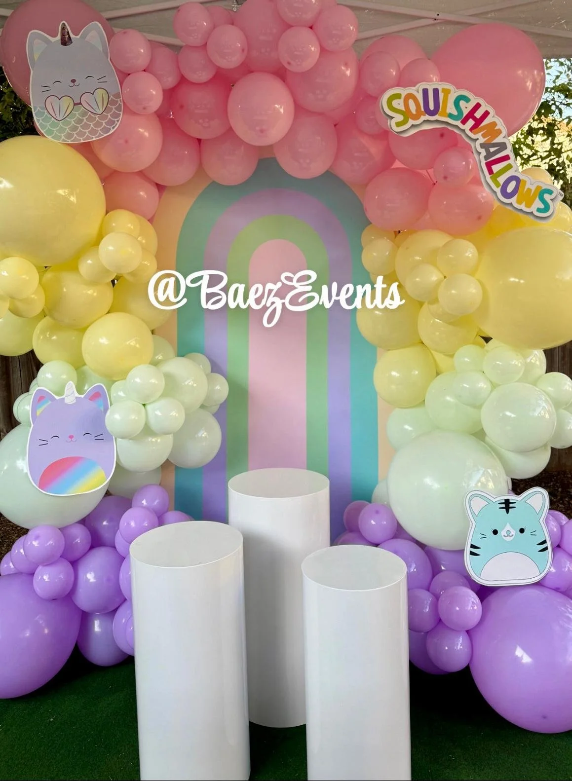 WhatsApp Image 2025-11-13 at 10.36.43 PM.jpeg