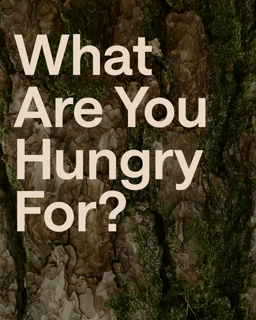 DAY 1 | Hunger for God’s presence