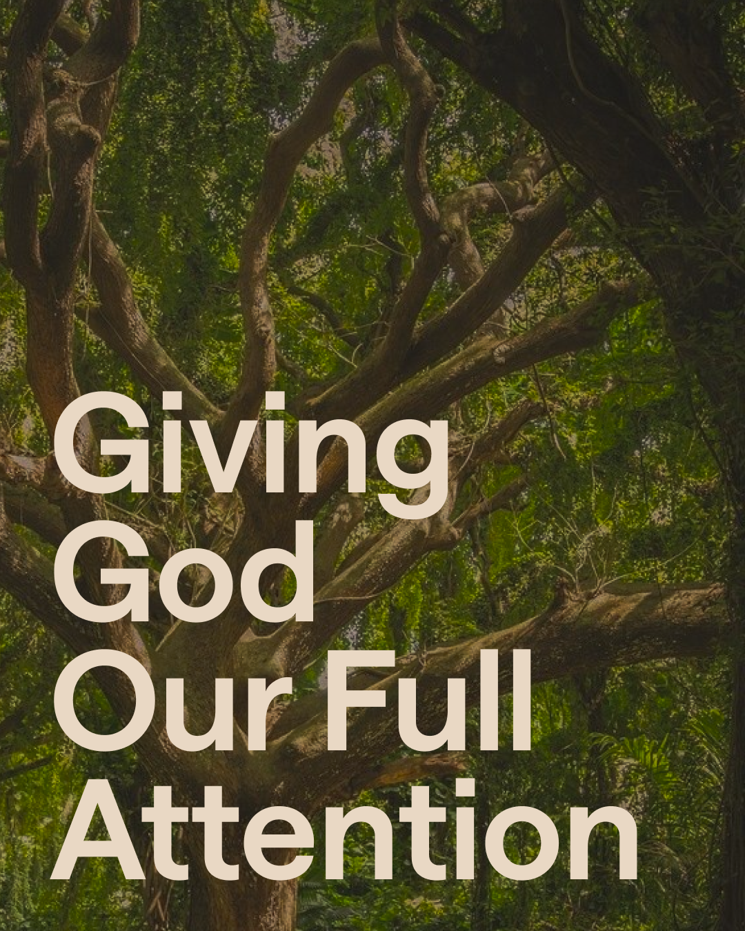 DAY 5 | A culture of prayer