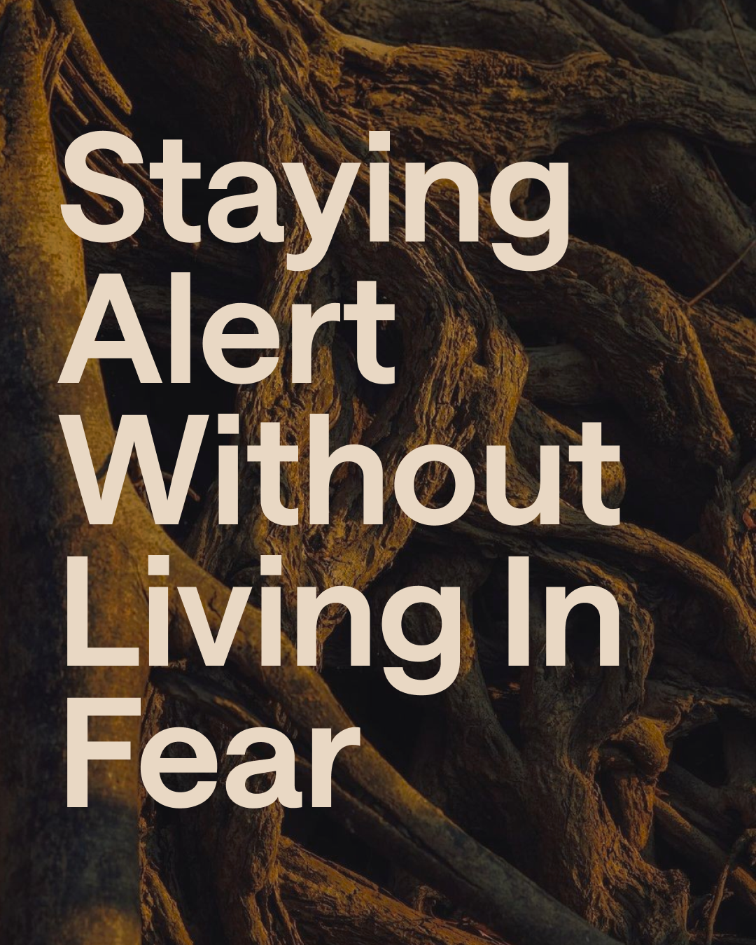 DAY 7 | Spiritual protection and discernment