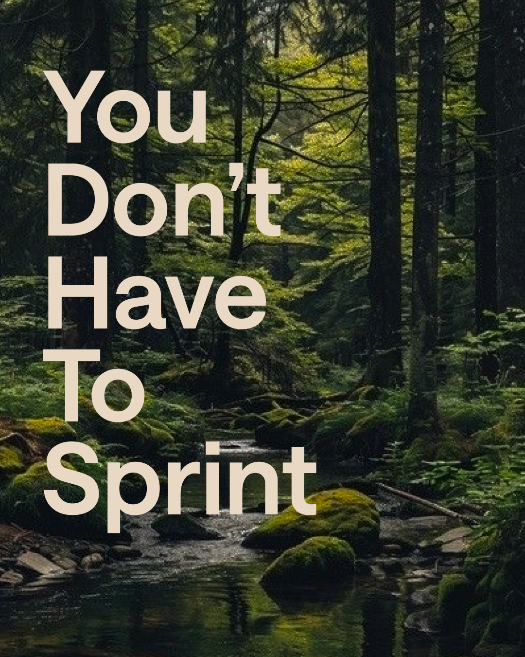 DAY 15 | You Don’t Have to Sprint 
