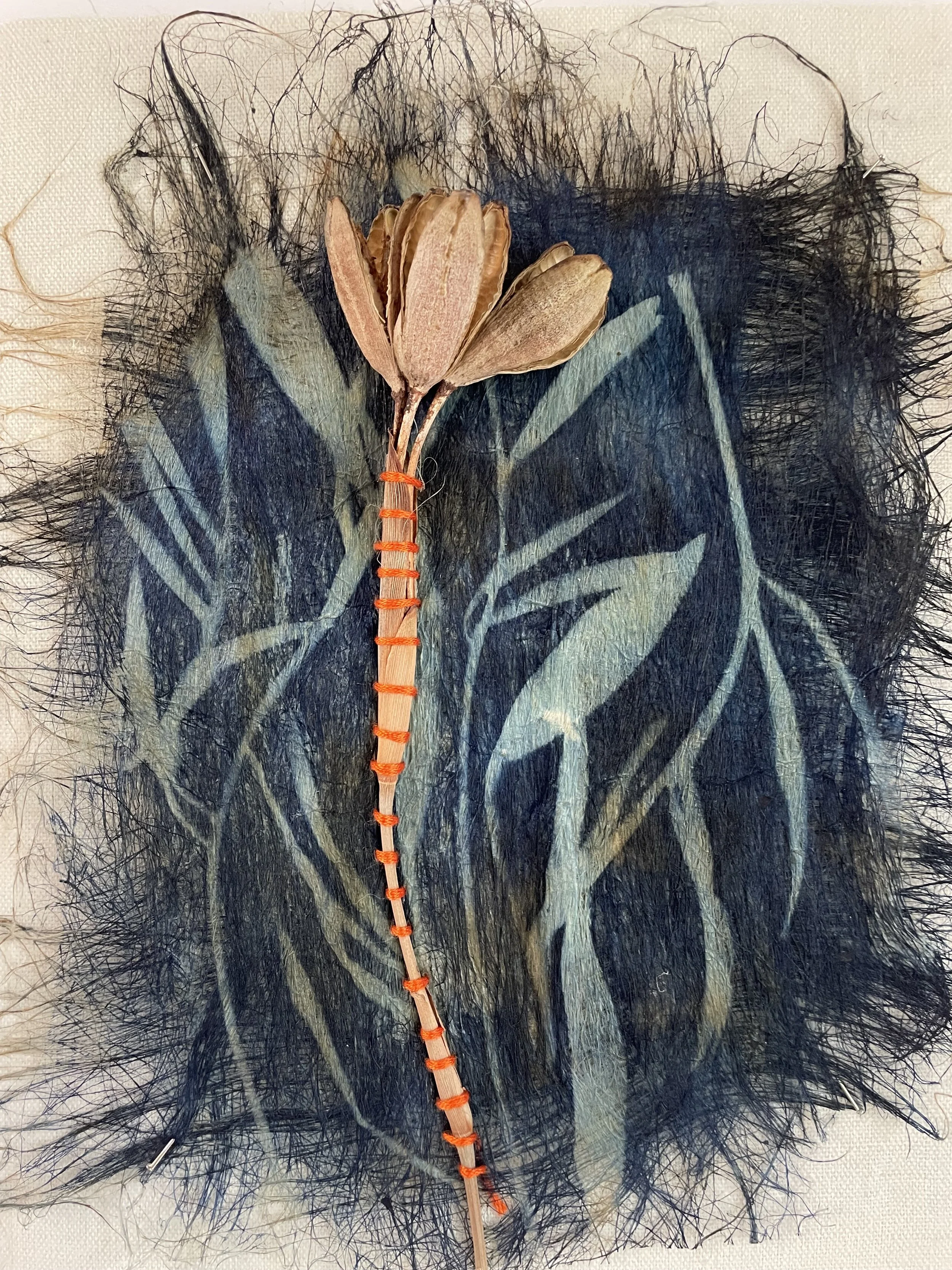  RE-GENERATE 3                                                     
flax fiber, thread, cyanotype, seed
 10"H x 8"W
 2026