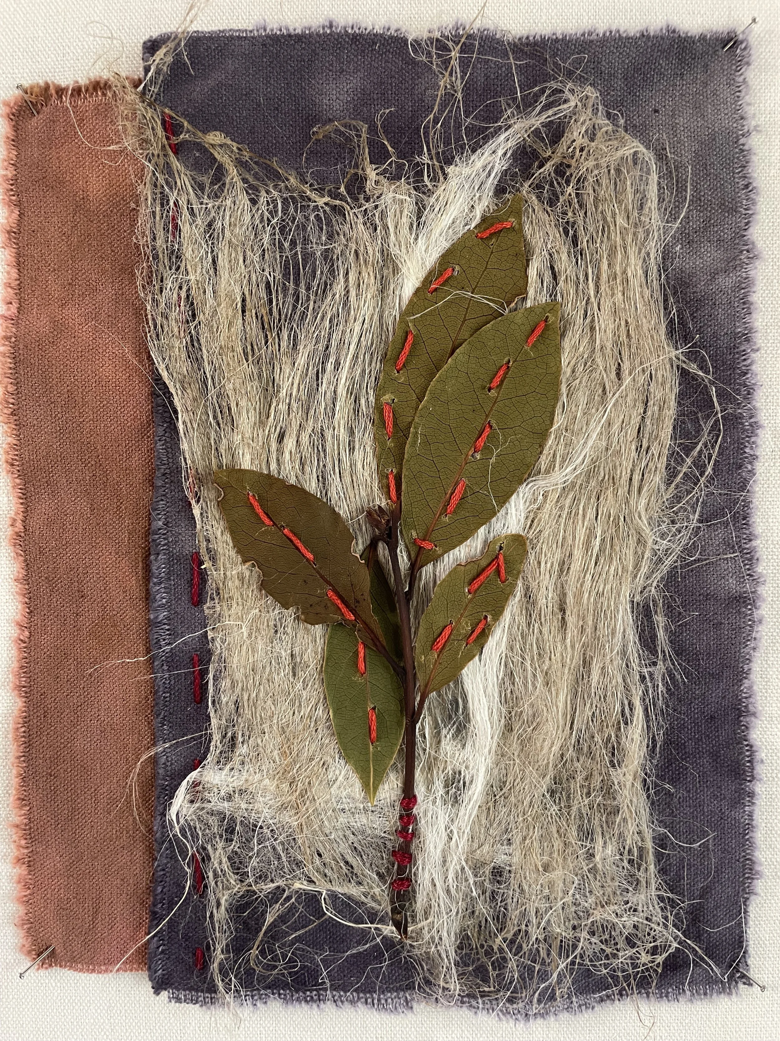  RE-GENERATE 6                                                     
eco dyed fabric, flax, leaf, thread
 10"H x 8"W
 2026