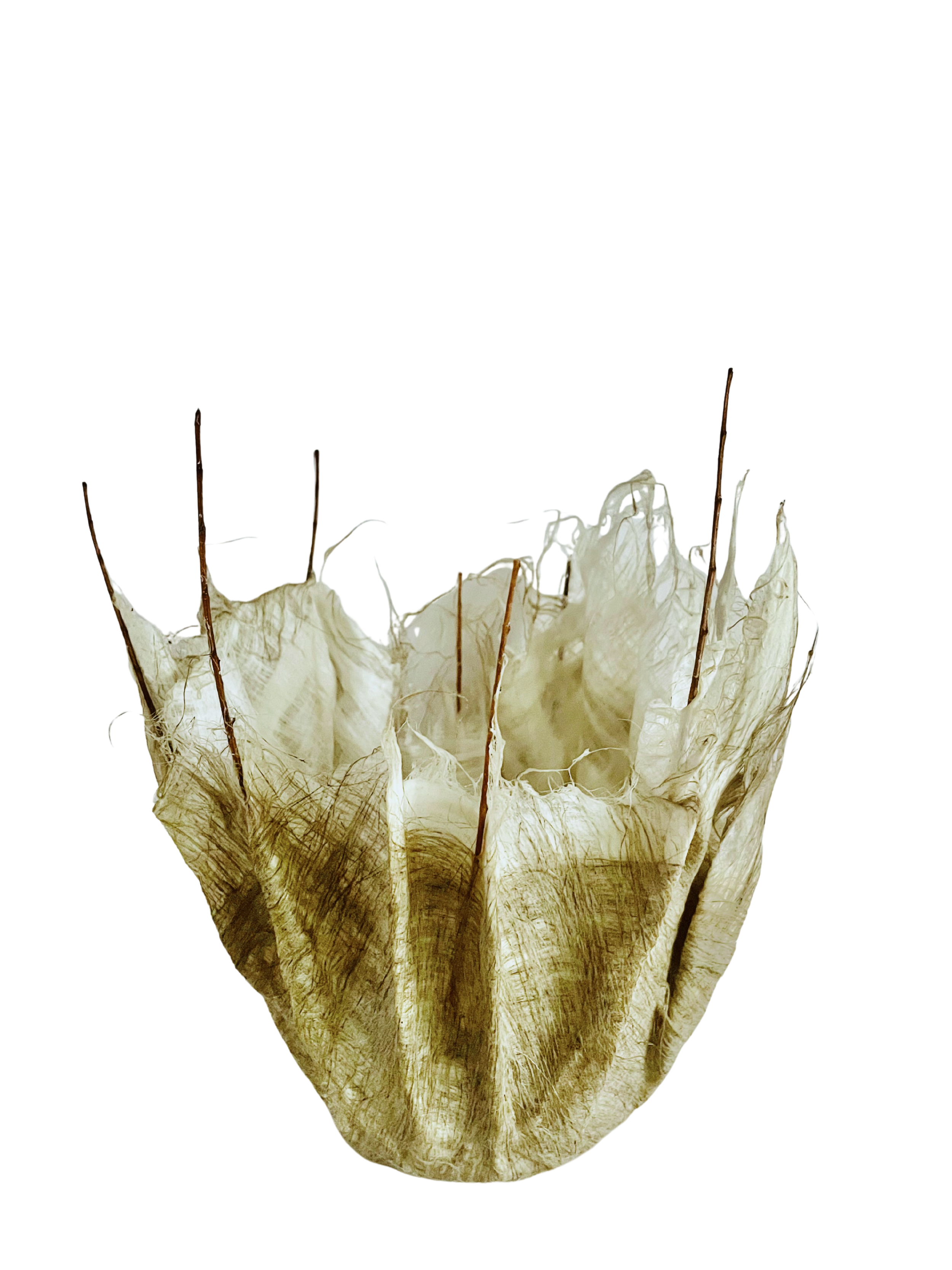 FLAX ROVING WITH STICKS
11"H X 6"W
2025