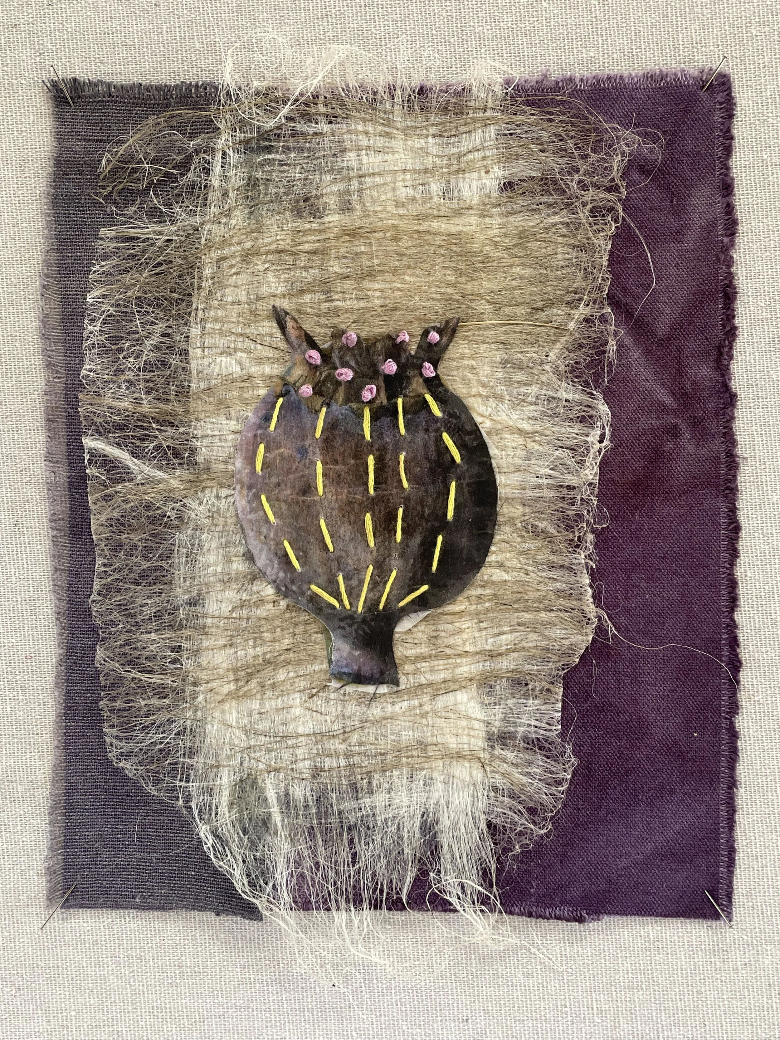  SEED SERIES logwood                                                     
flax fiber & thread on botanical dyed canvas
 14"H x 11"W
 2025