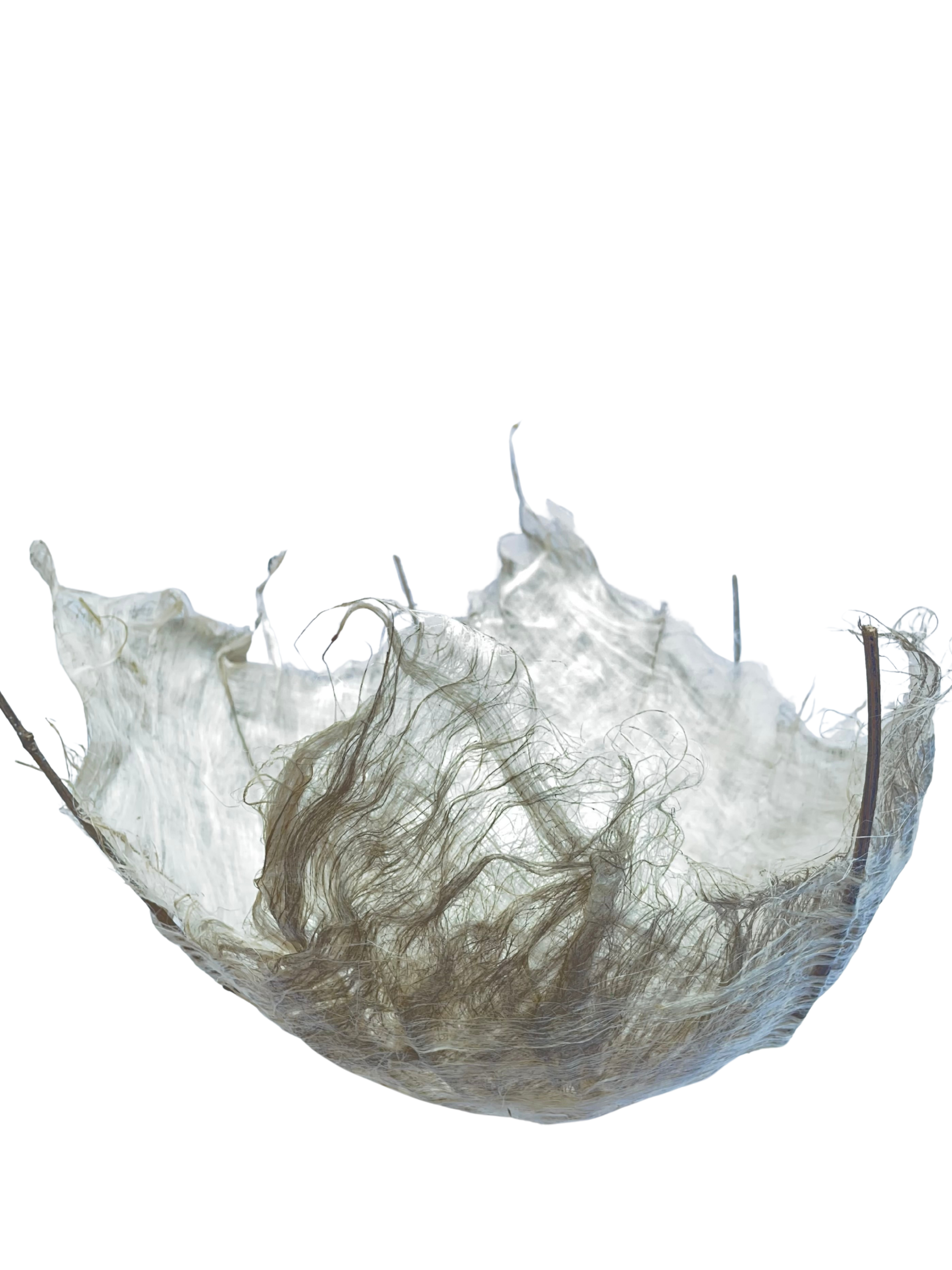 FLAX ROVING WITH STICKS
11"H X 6"W
2025