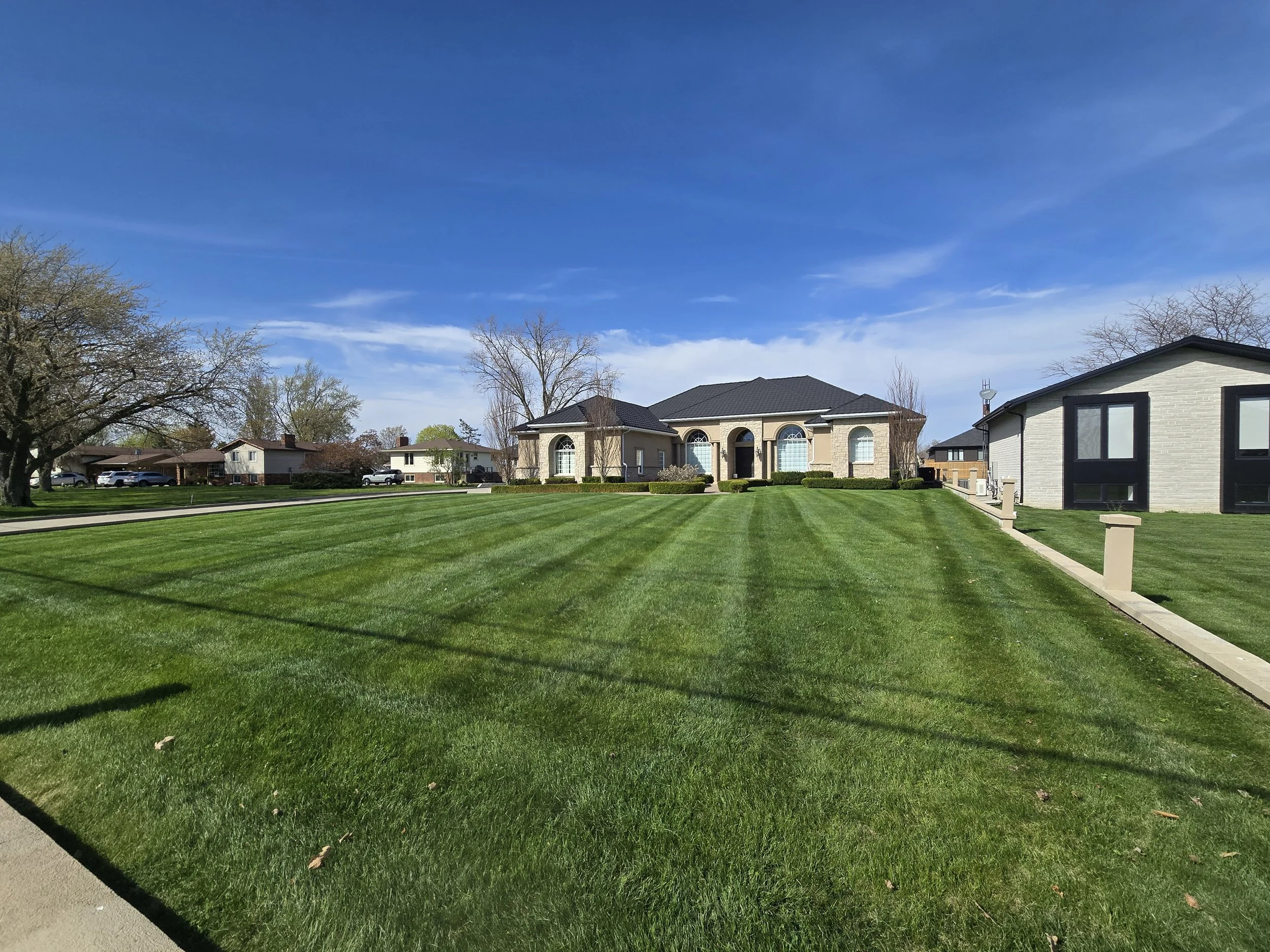 A row of houses with well-maintained lawns and a clear blue sky.