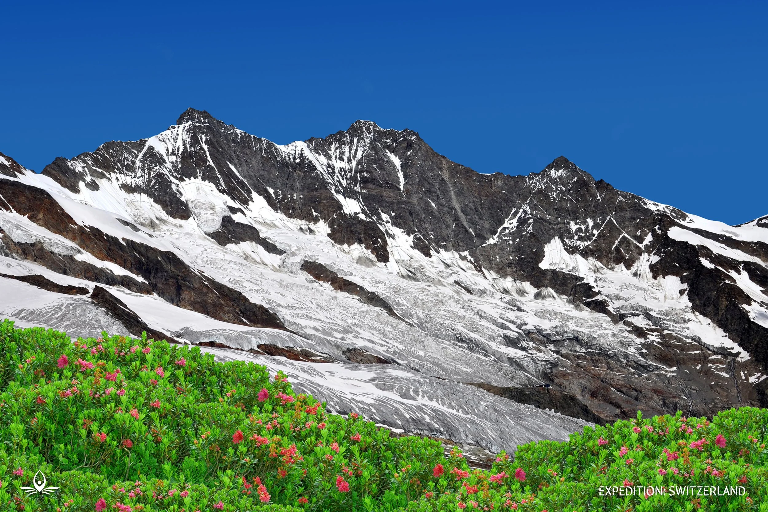 ALPINE~1.JPG