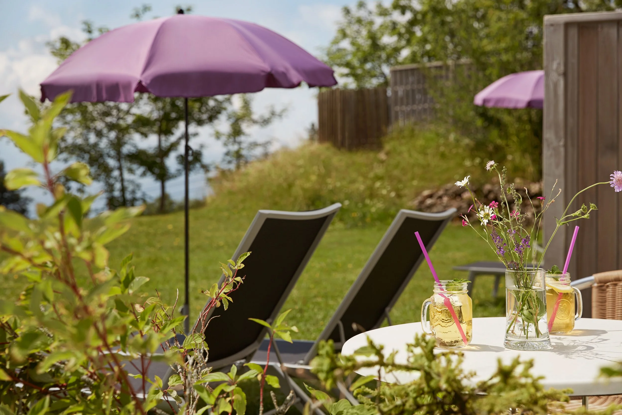 Switzerland Mount Rigi Hotel Restaurant 17.jpg