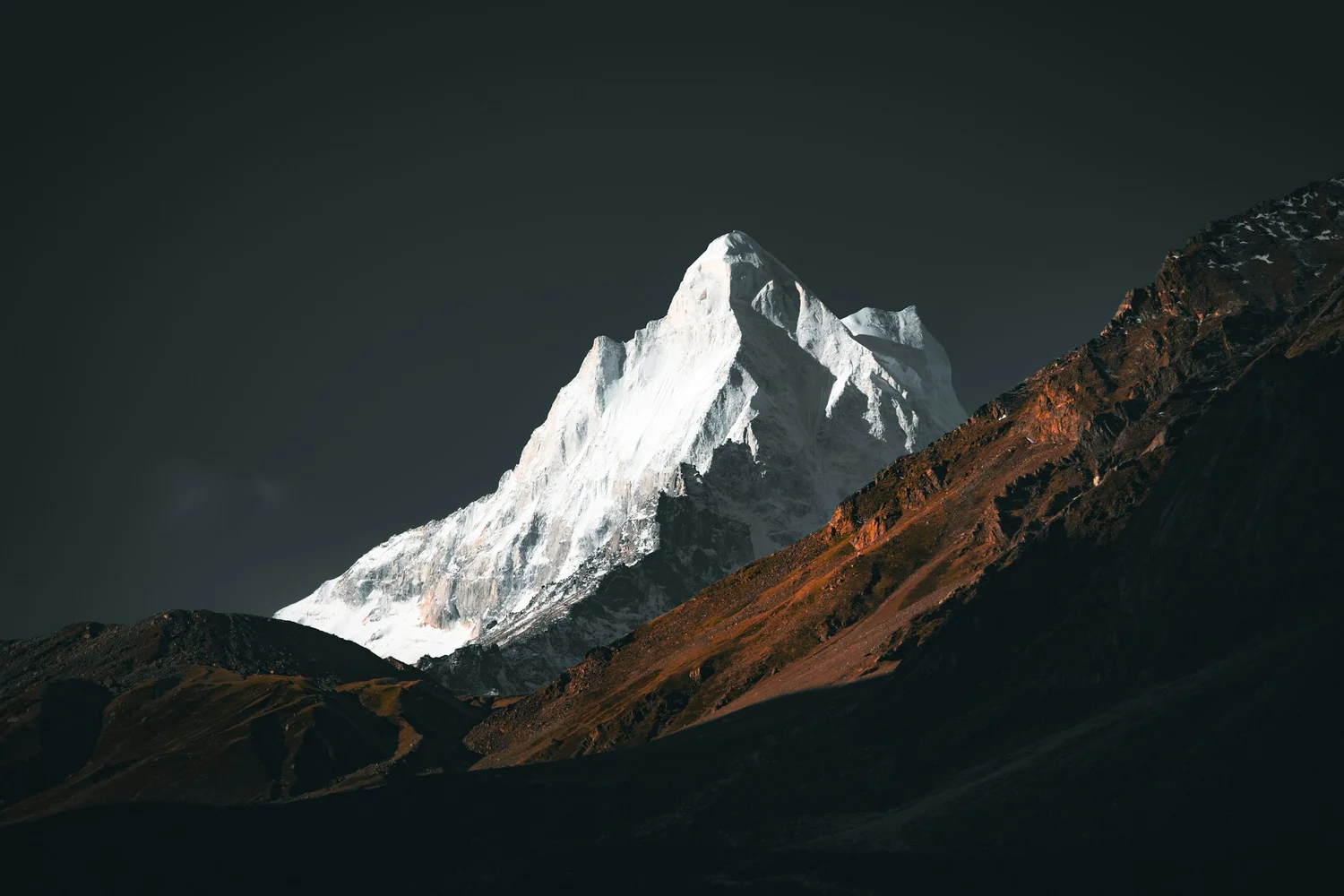 Himalayan Mtns.
