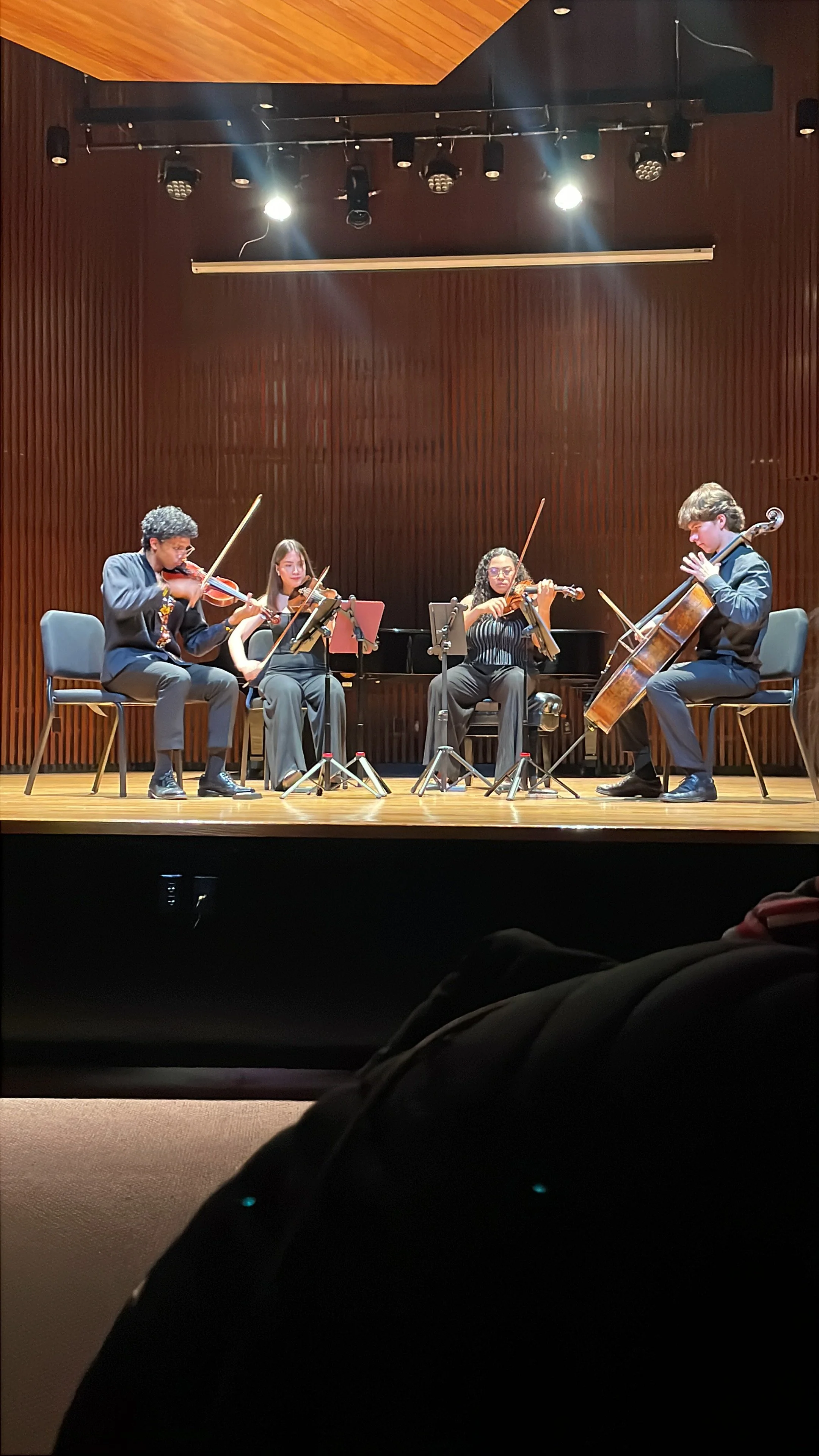 Cuatro músicos tocando instrumentos de cuerda en un escenario con iluminación teatral.