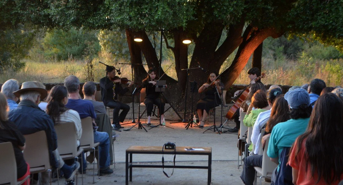 Concierto al aire libre con cuarteto de cuerdas en un bosque