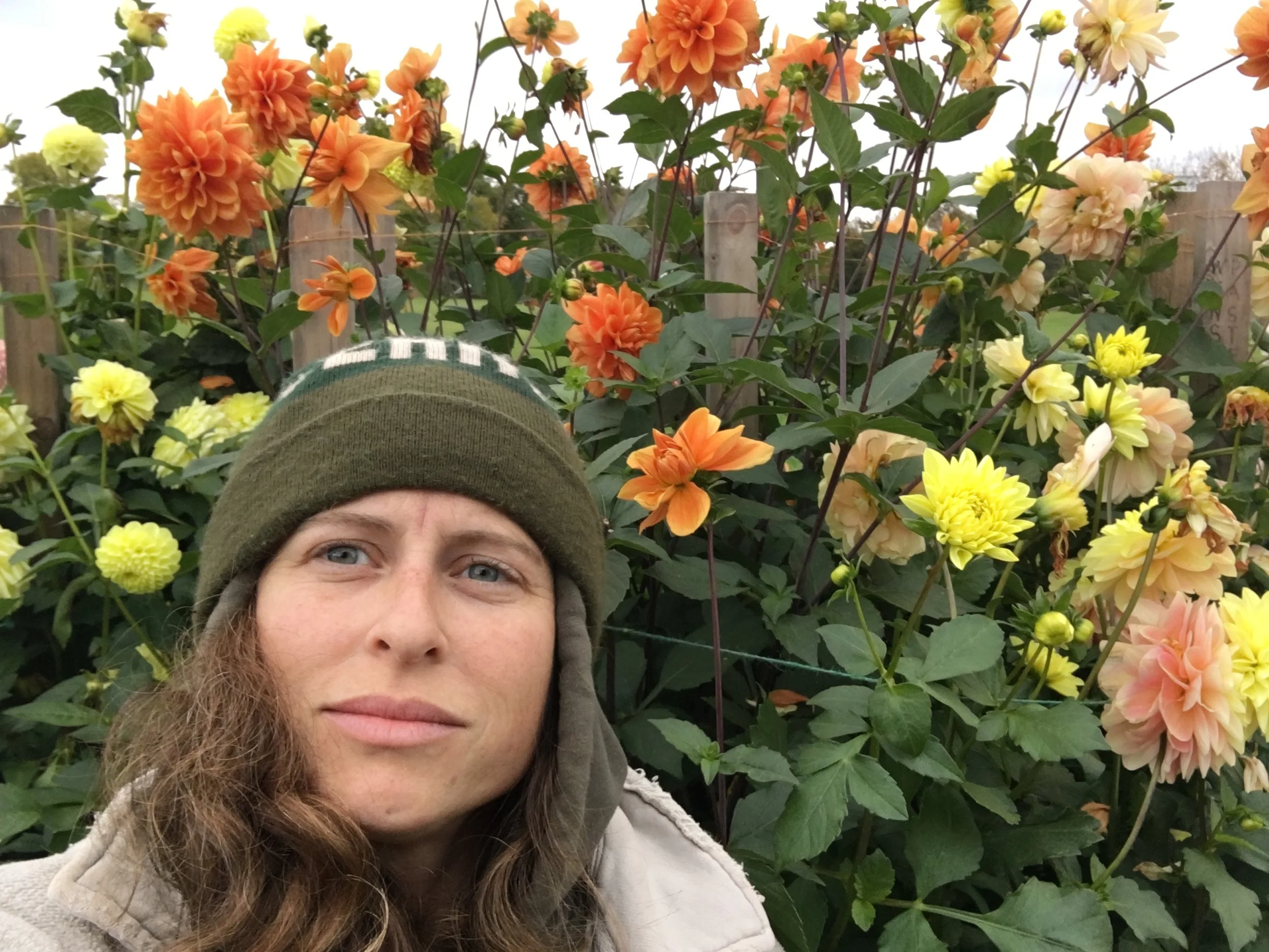 A person with long curly hair wearing a green beanie and beige jacket takes a selfie in front of a large garden of blooming orange, yellow, and peach dahlias.