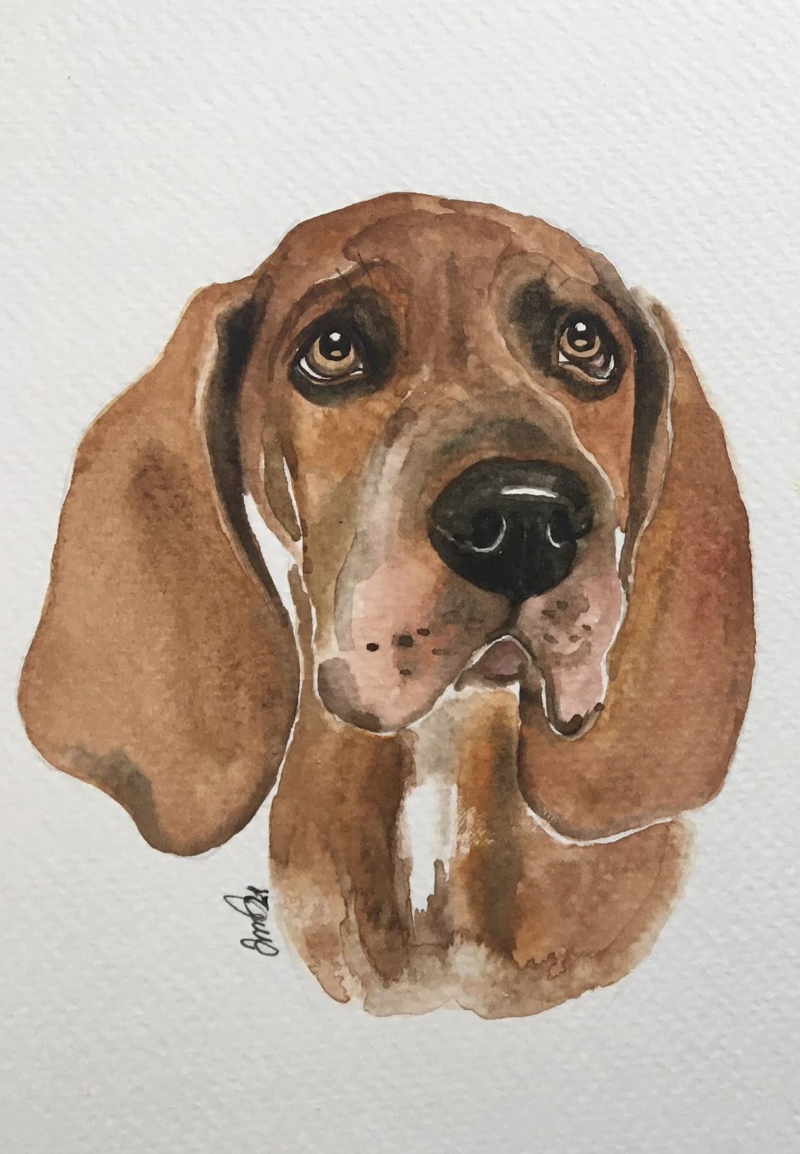 Watercolor painting of a brown hound dog with sad eyes, long ears, and a black nose, on a white textured background.