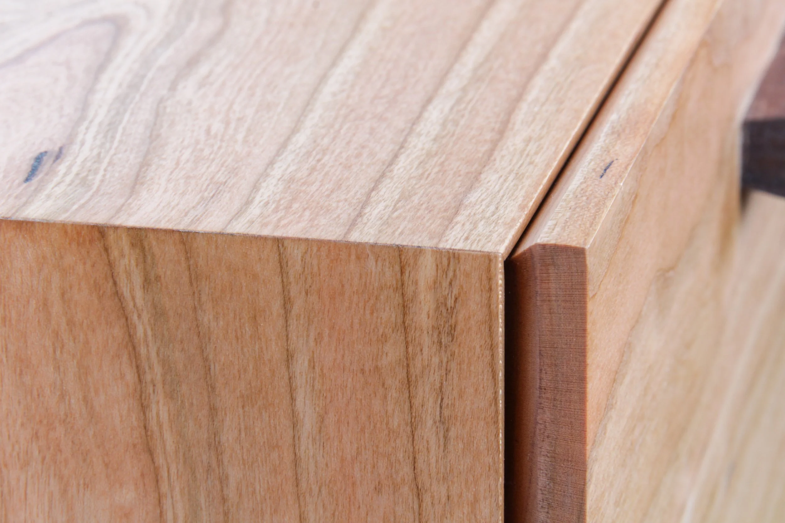 a scott - F2 - Fall 24-09.jpg