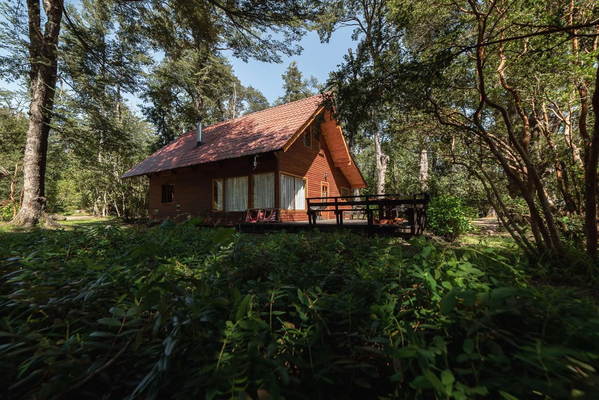 Parque -77Metreñehue.JPG