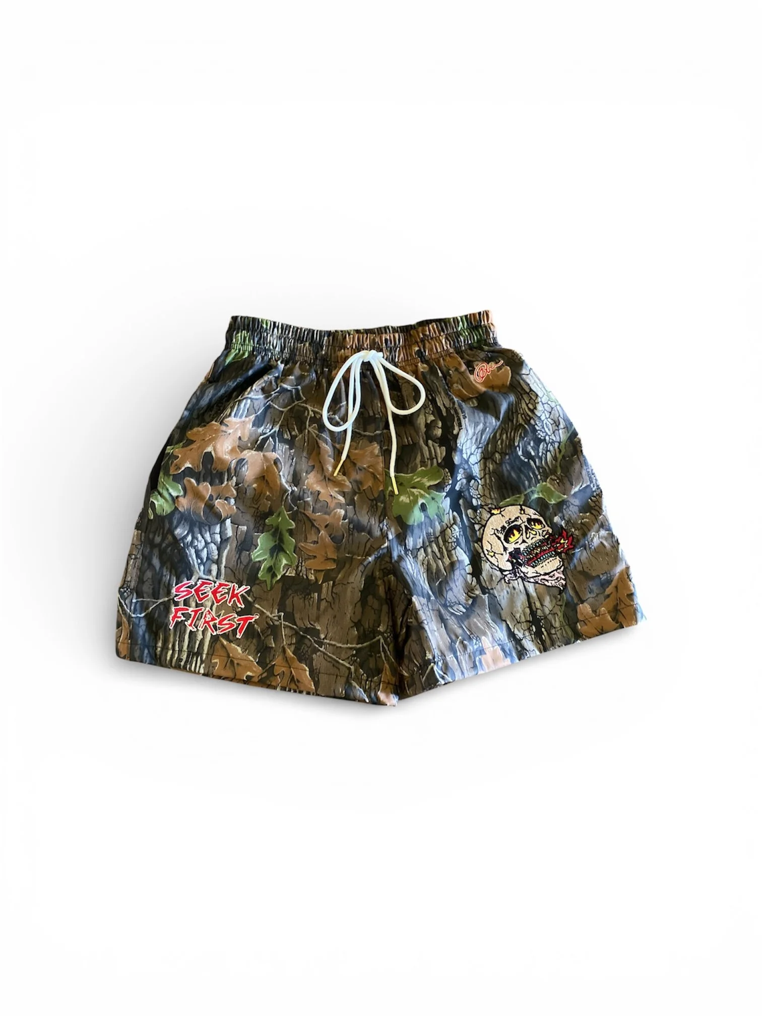 Beach Shorts (Camo)