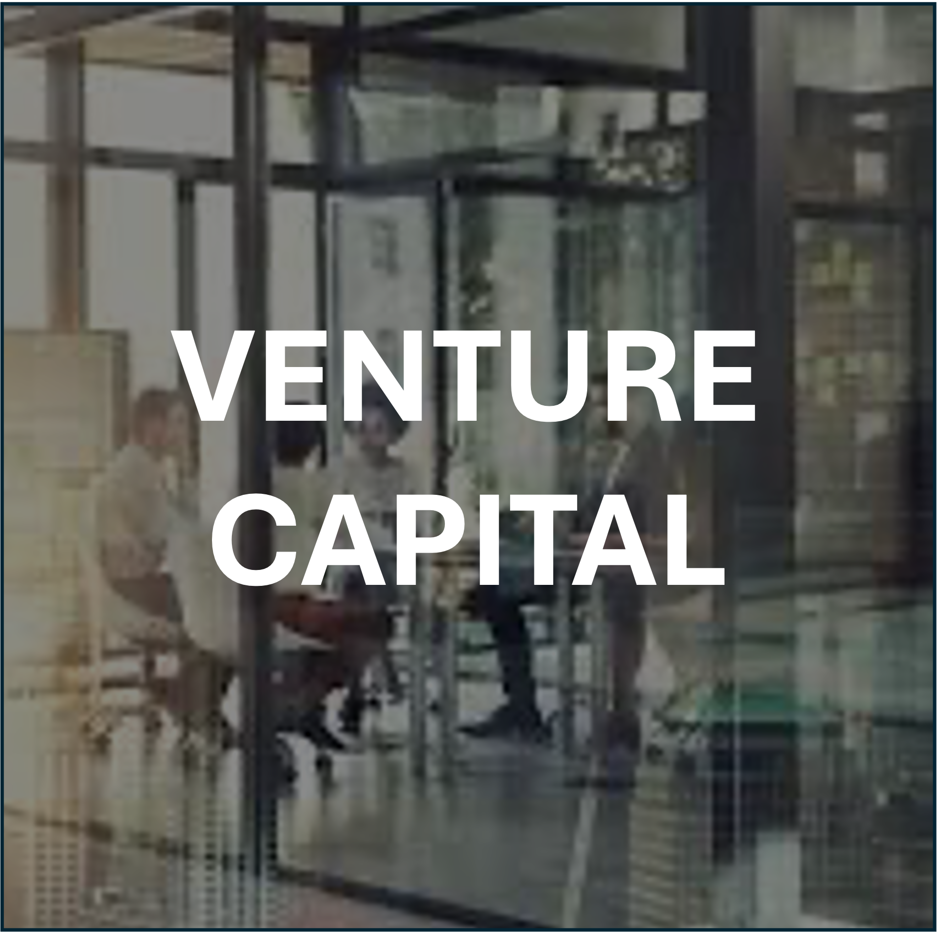 Venture Capital Picture.png