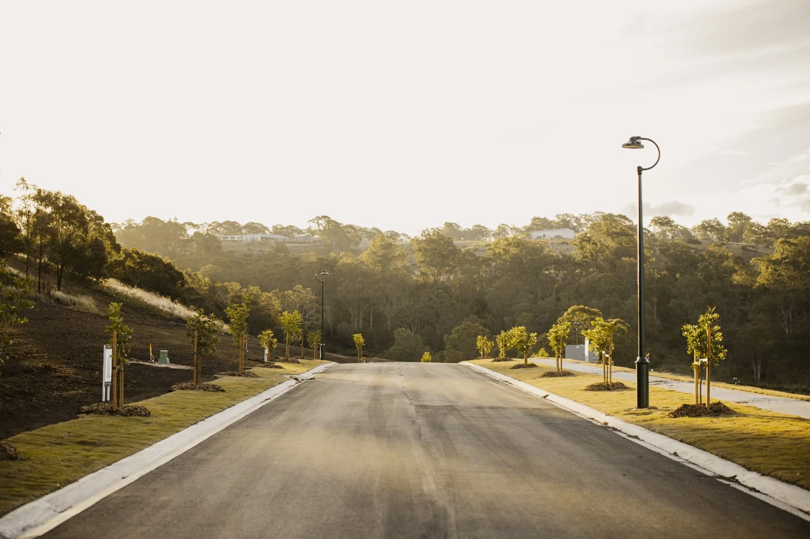 Tallowood — Neue Projects Co.