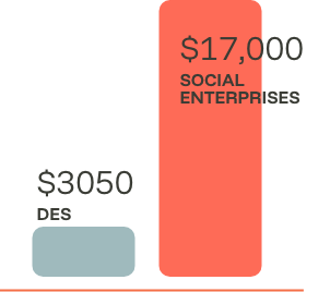 Comparison of social enterprise costs and DES expenses, with $17,000 for social enterprise and $3,050 for DES.