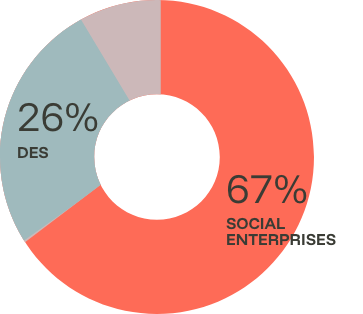 Pie chart showing 67% social enterprises, 26% DES, and remaining percentage unspecified.
