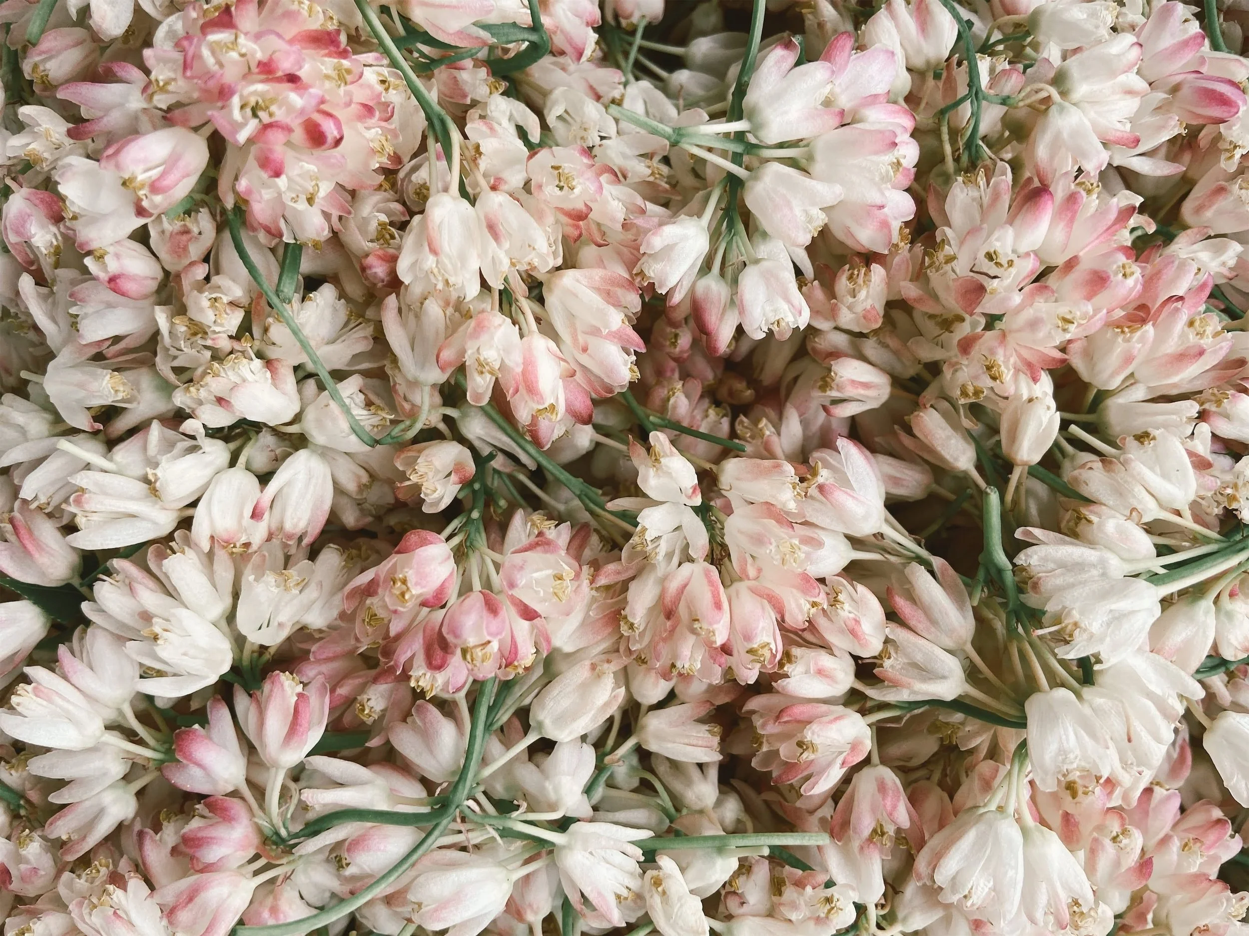  Headline •  This is a short description of something you want to say here to give viewers more context to this specific element. As usual, keep it short but impactful!