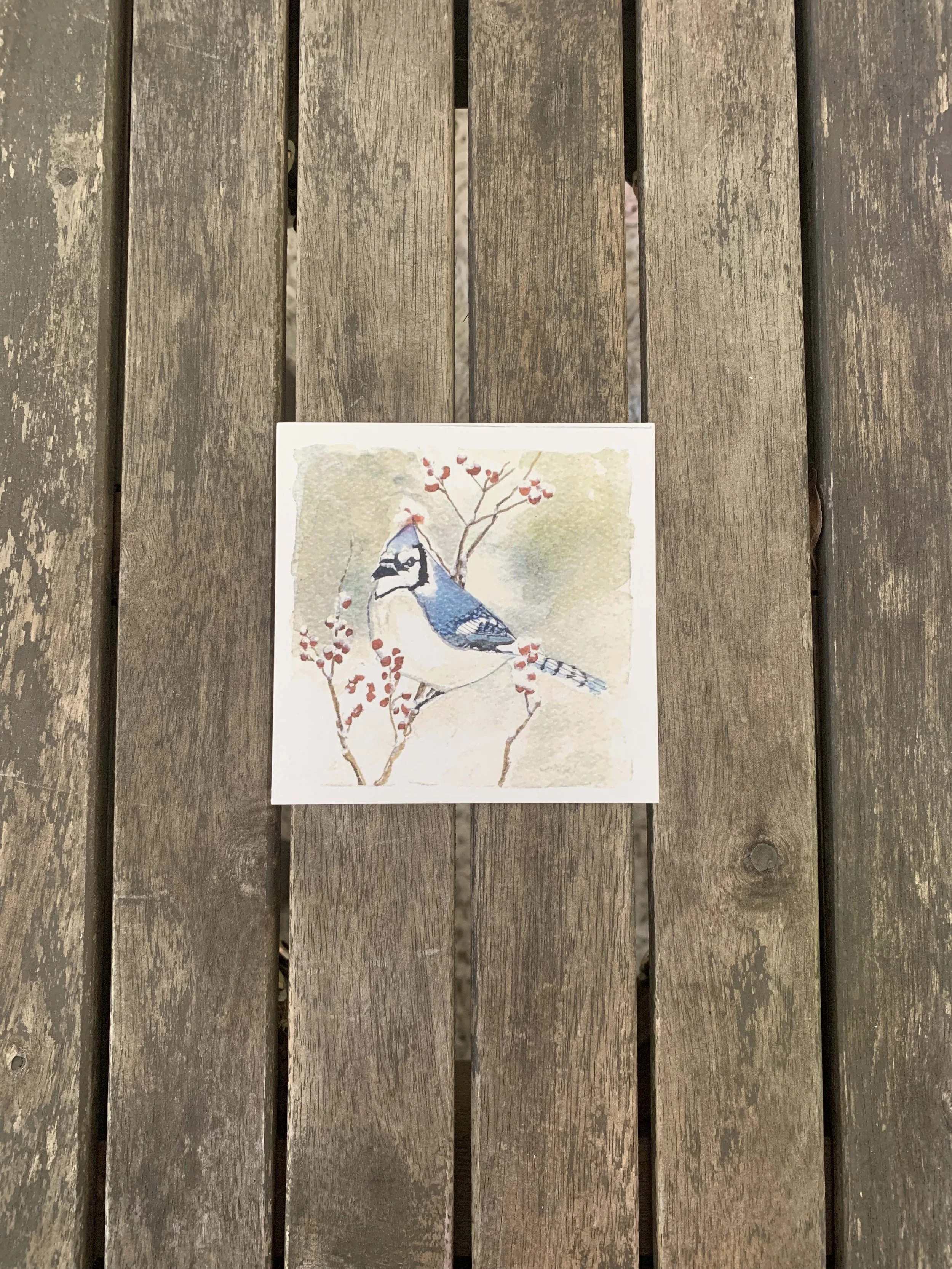 Whimsical Watercolor