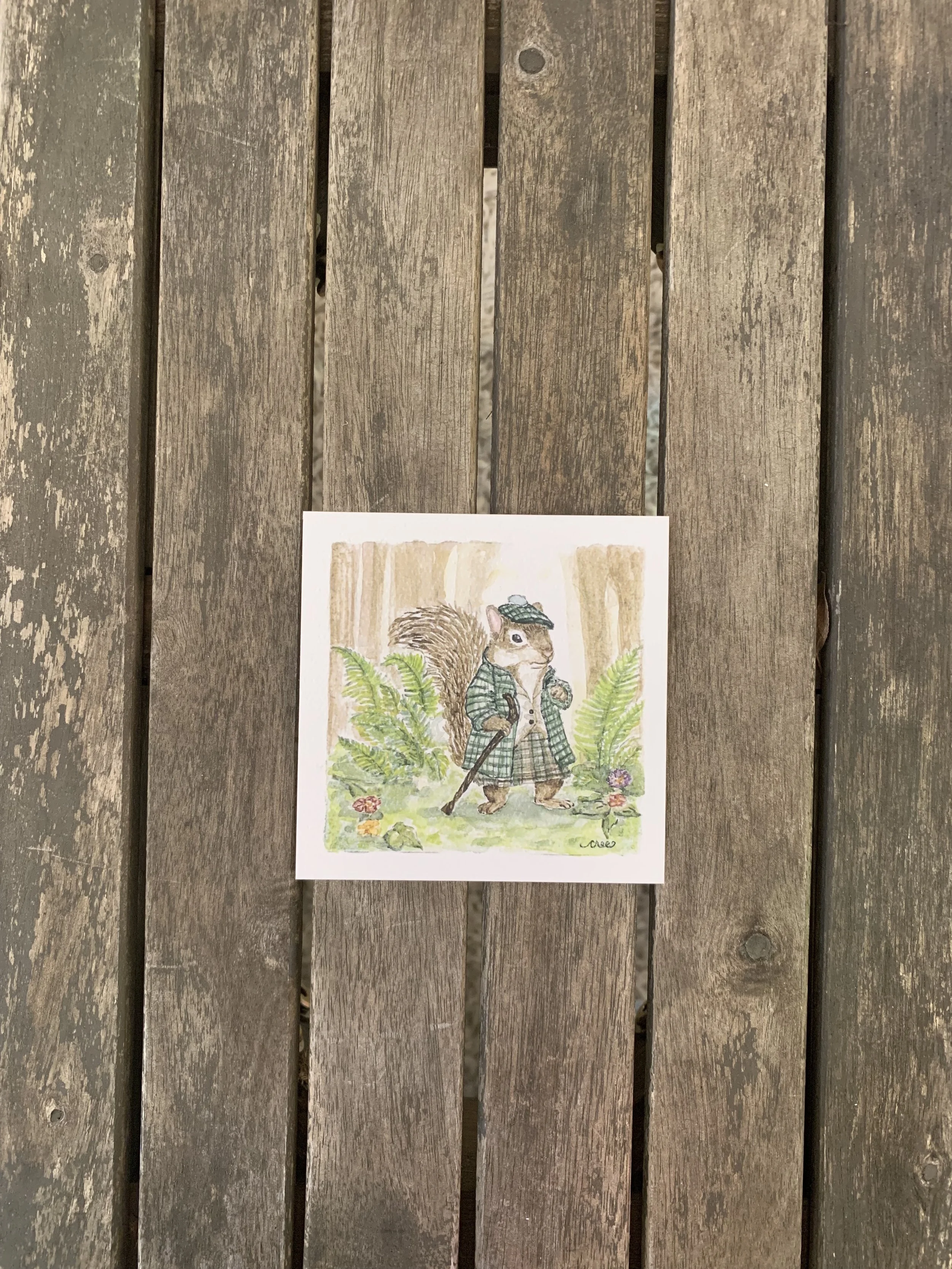 Whimsical Watercolor