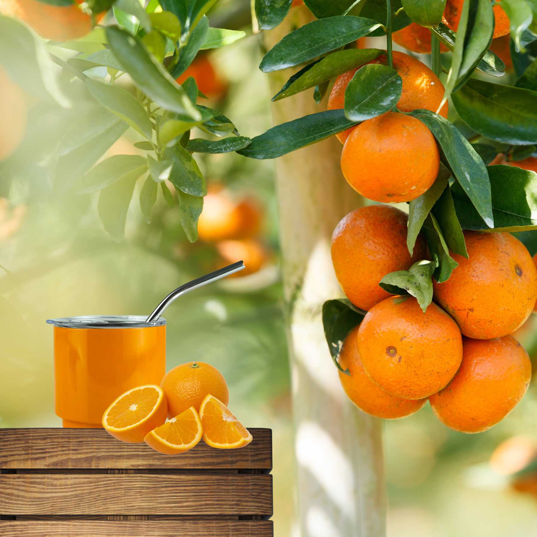 mini tumbler-orange 4.png