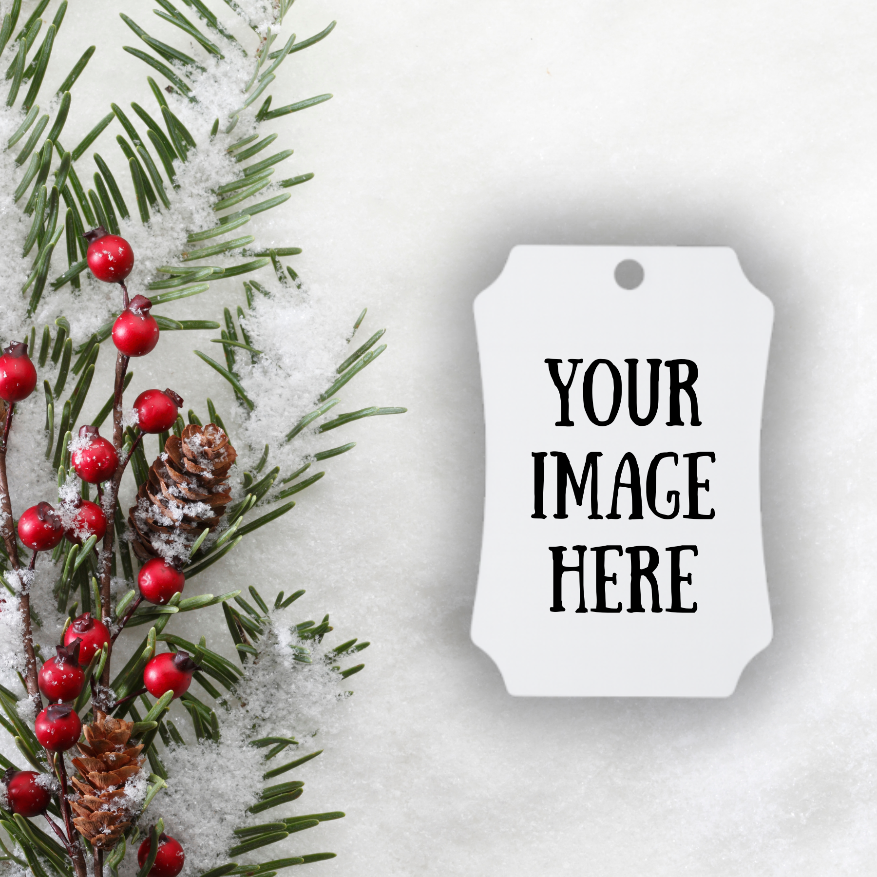 coastal-aluminum-berlin(vertical) double sided.png