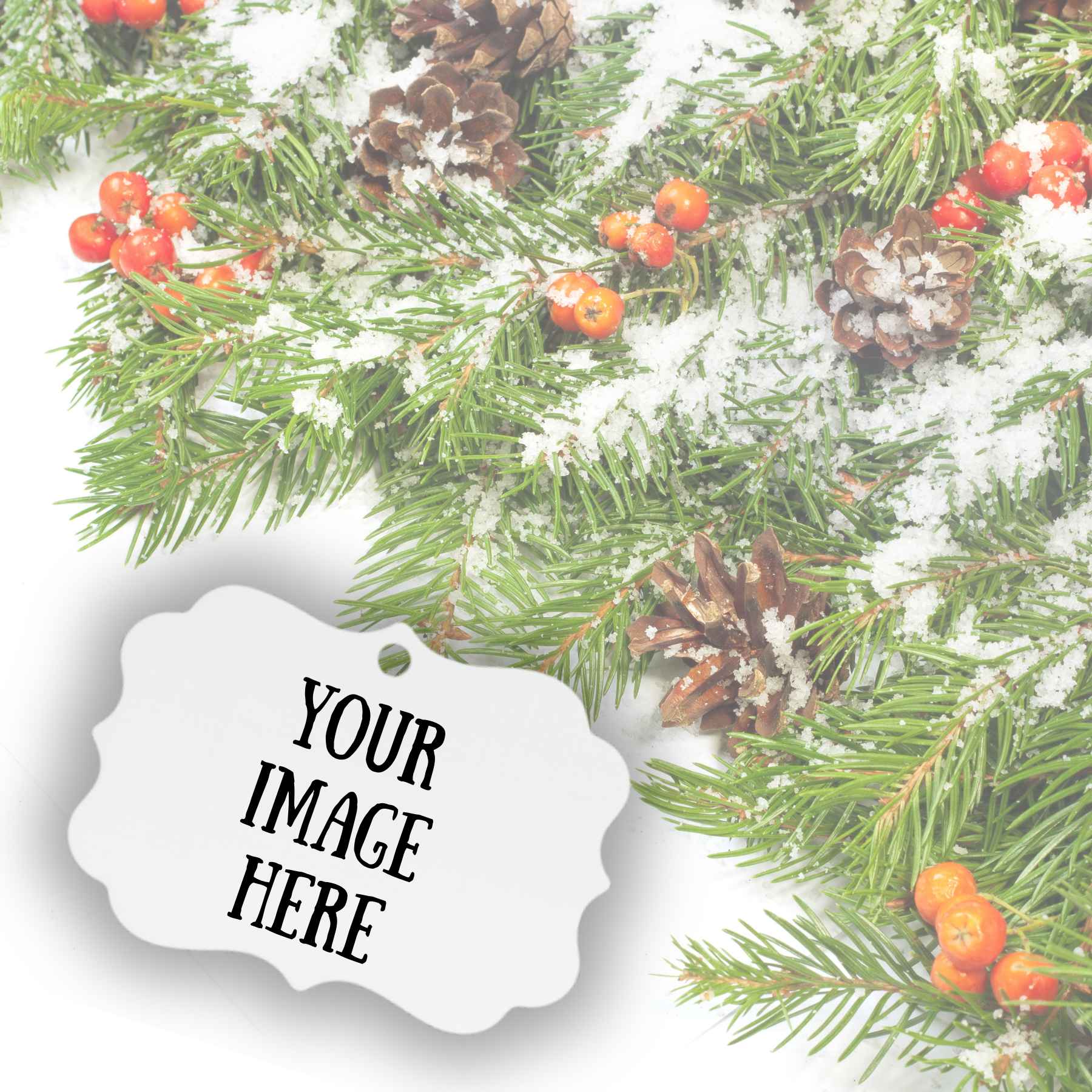 Coastal-aluminum-benelux Horizontal-double sided.png