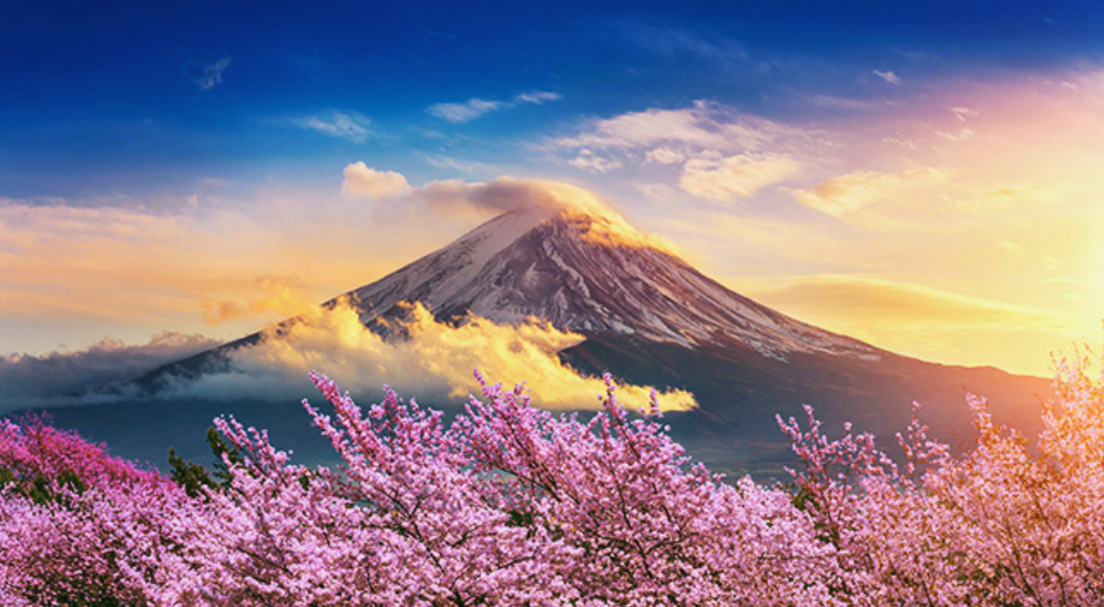Abercrombie &amp; Kent - Japanese cherry blossoms