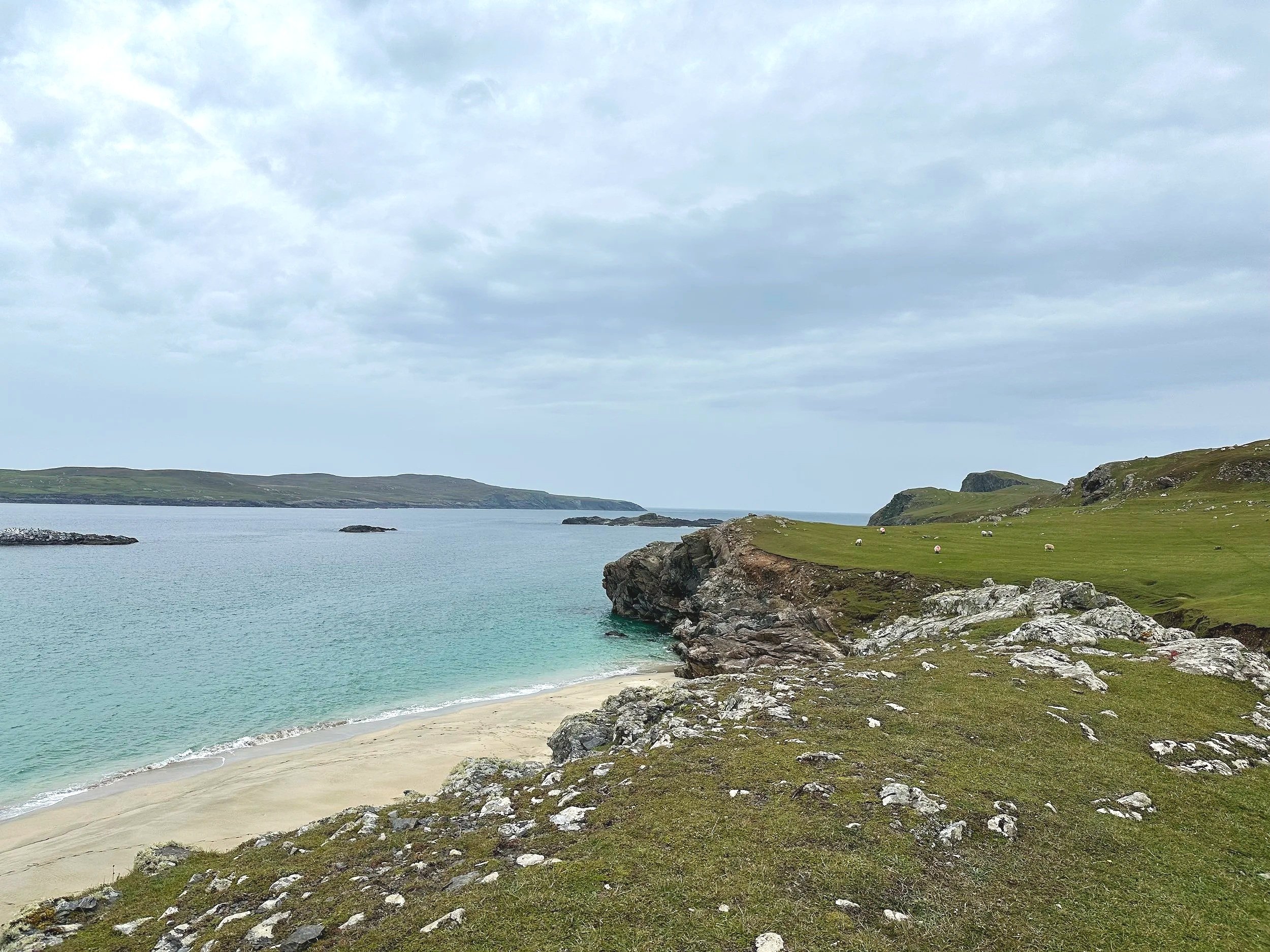Coastal Irish landscape with rocky cliff, grassy fields, and sheep grazing on the hillside, overlooking the ocean and distant islands under a cloudy sky.