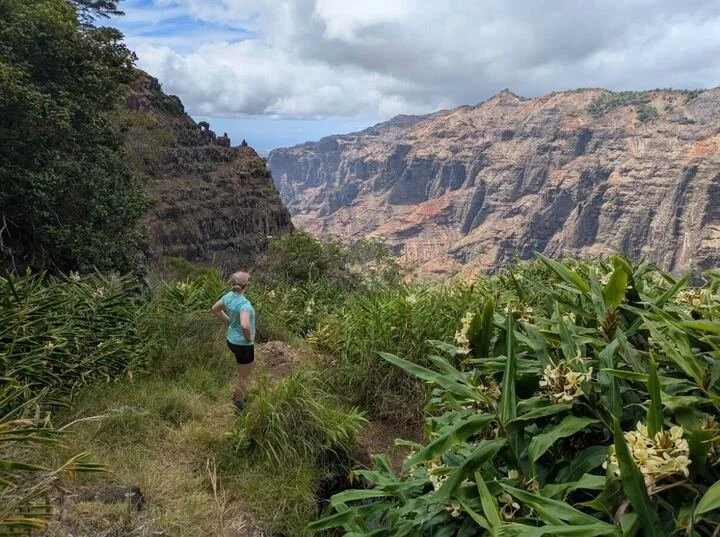 A person in a blue shirt and black shorts standing on a trail among green plants, overlooking a Hawaiian canyon with layered rock formations and cloudy sky in the background.