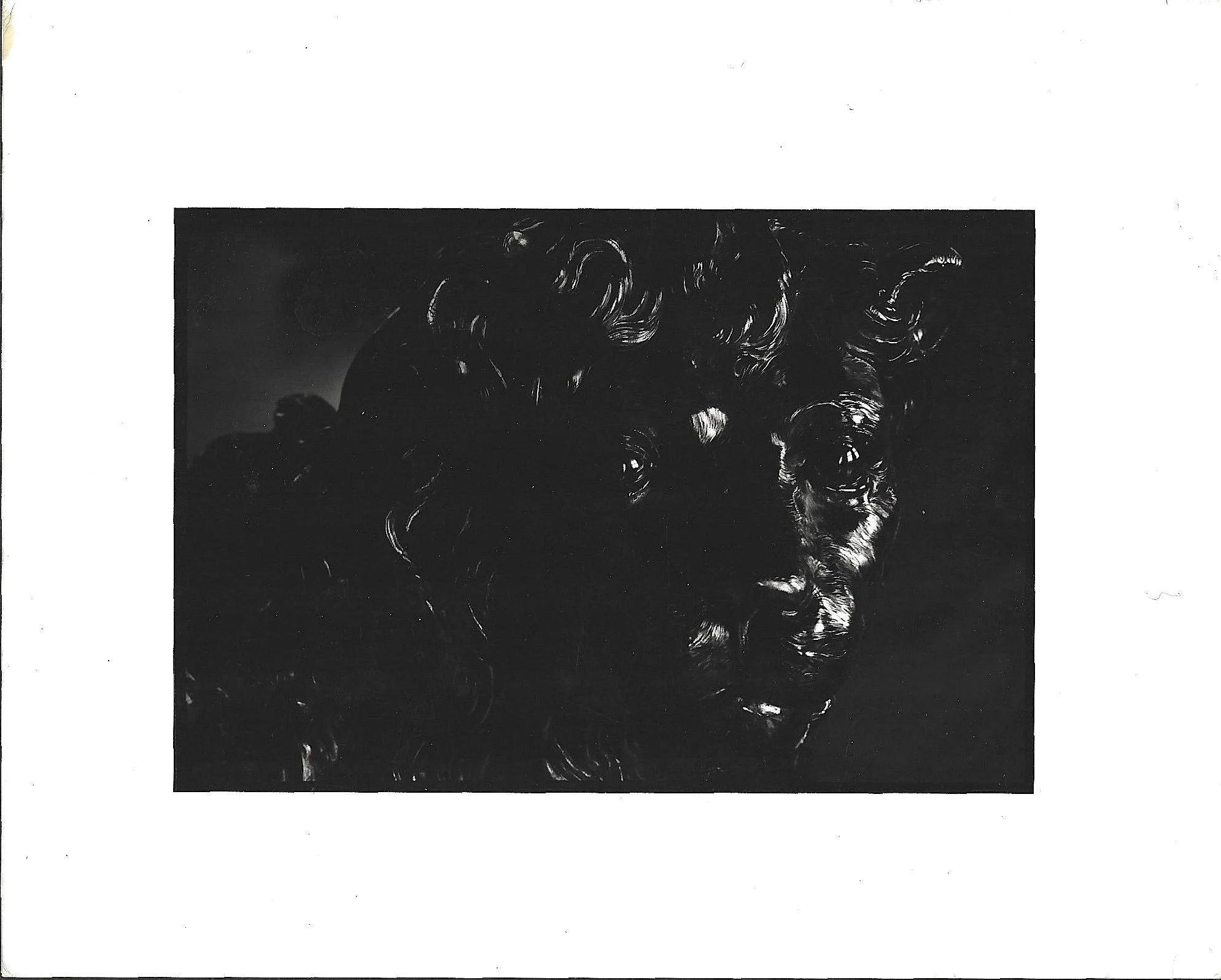 RMR SCAN PHOTO TNE WEB  2.jpg