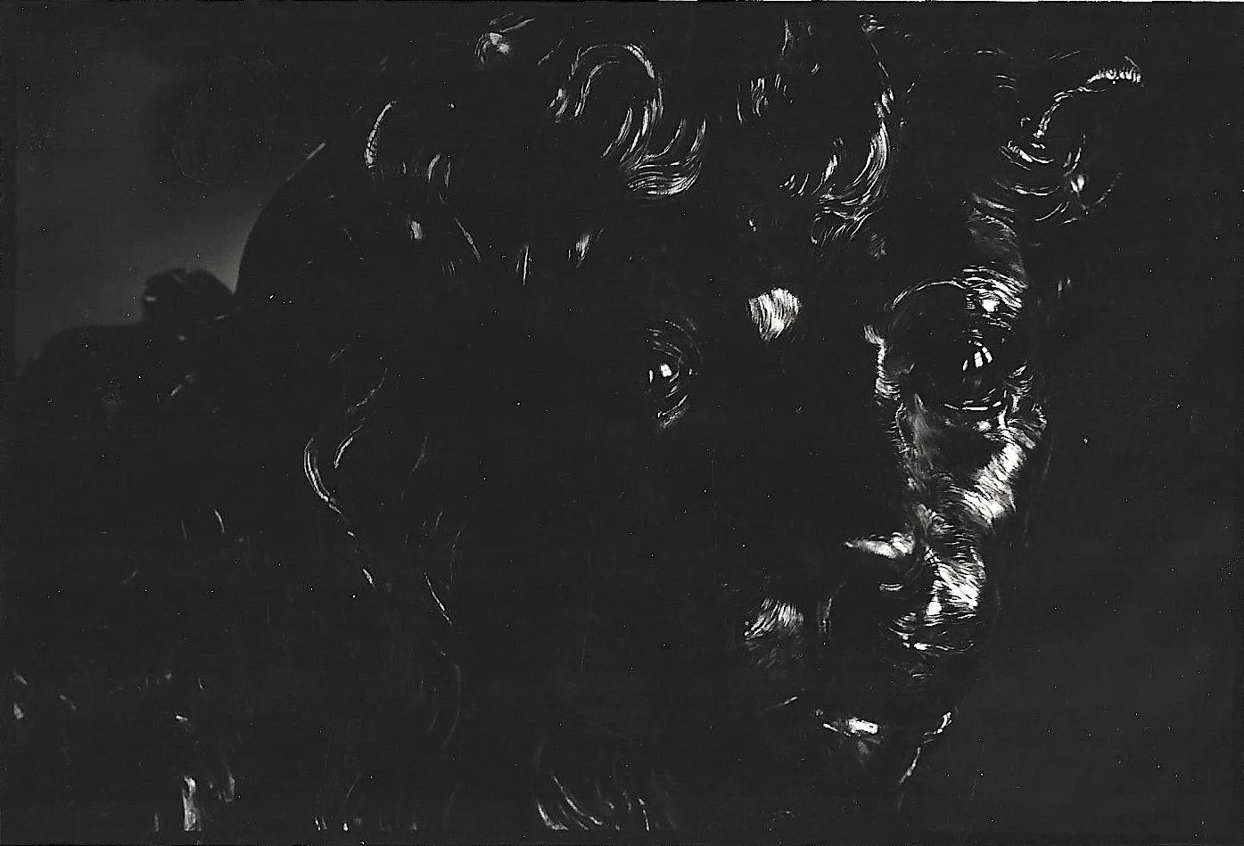 RMR SCAN PHOTO TNE WEB  2 copy.jpg