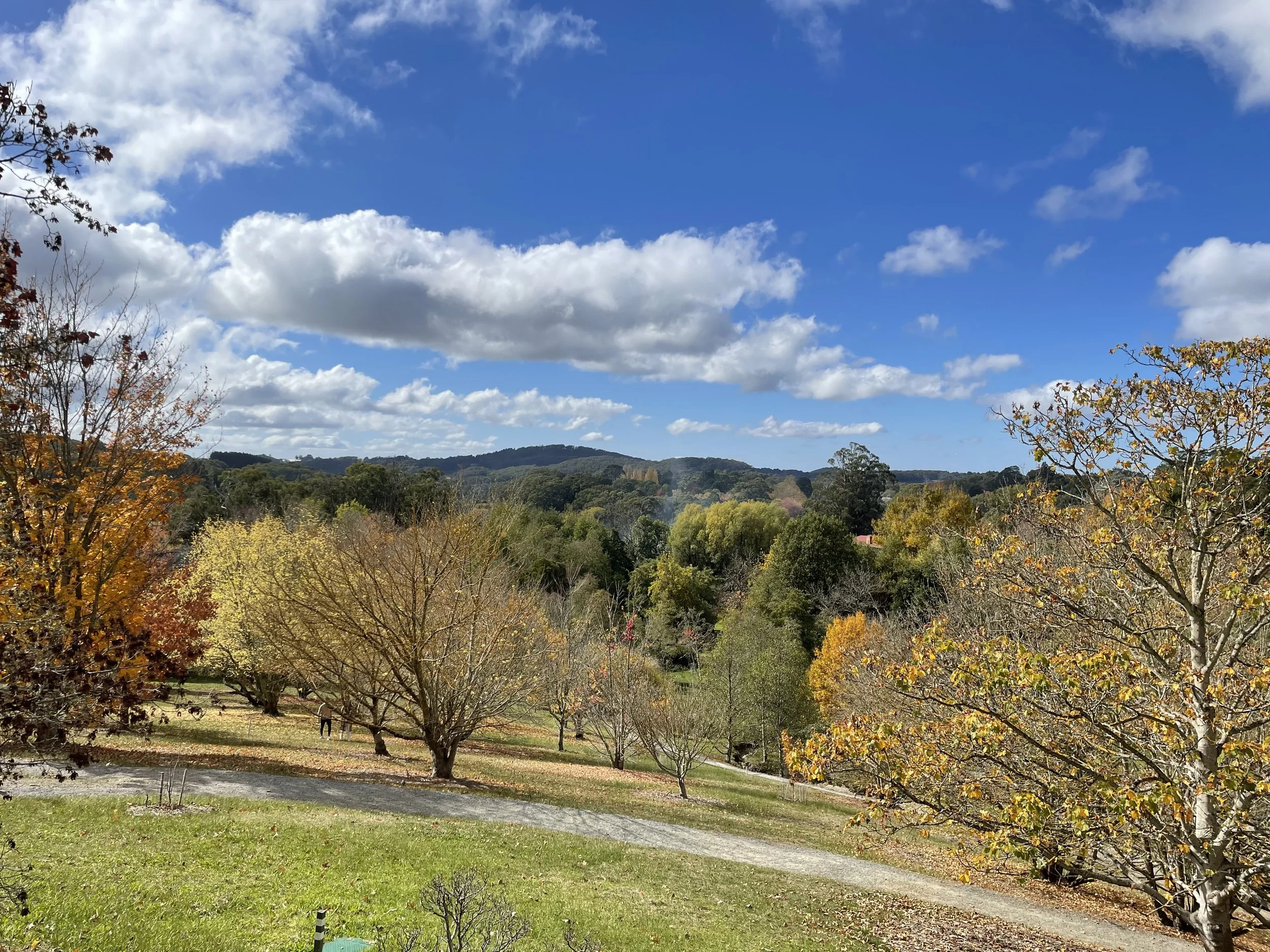 Scenic view of a park with colorful autumn trees, a winding path, green grass, and a backdrop of hills under a partly cloudy blue sky.