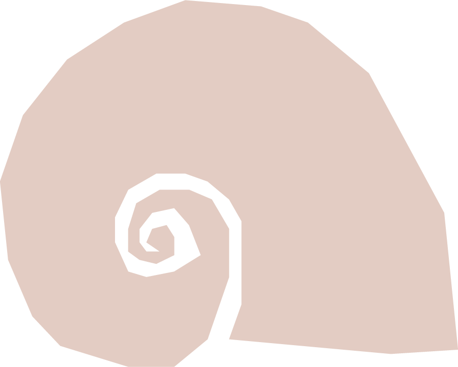 Spiral Shell Petal.png