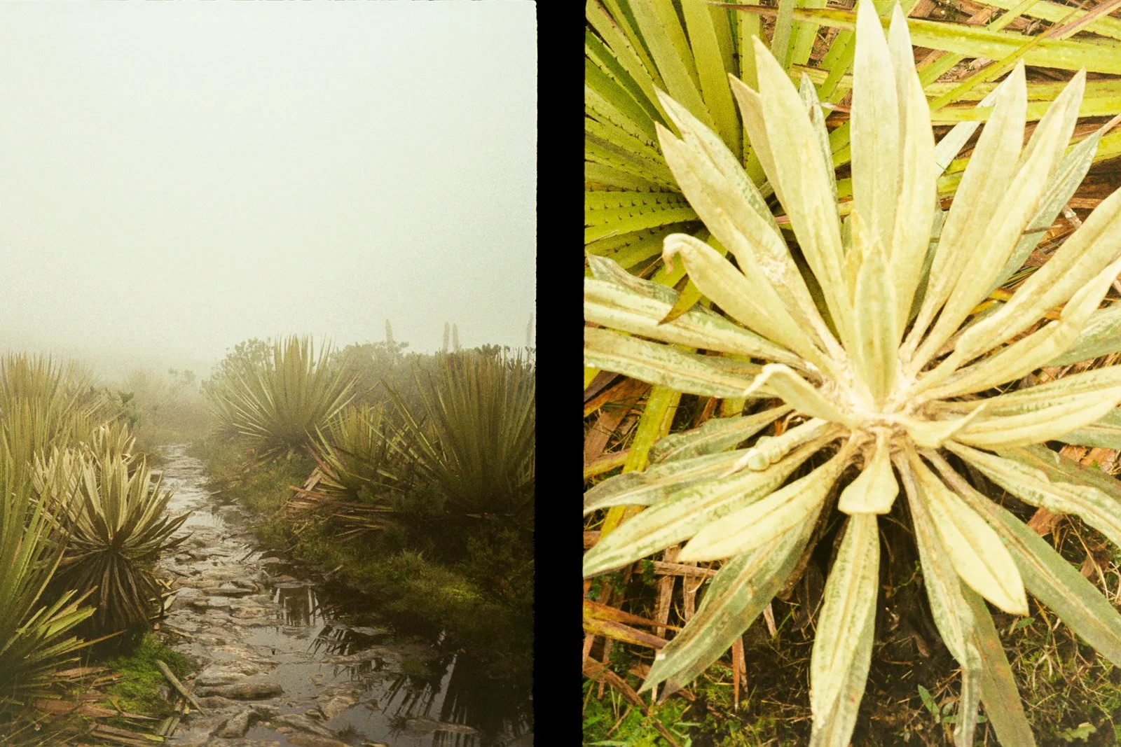 MATAREDONDA-16.jpg
