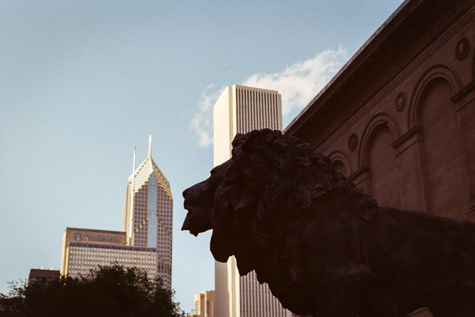 CHICAGO ANALOG-29.jpg