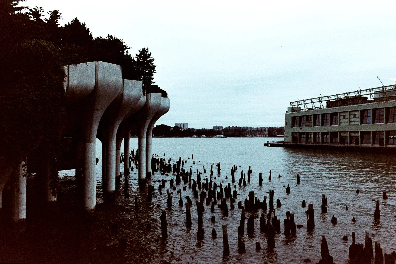 NEW YORK ANALOG-41.jpg