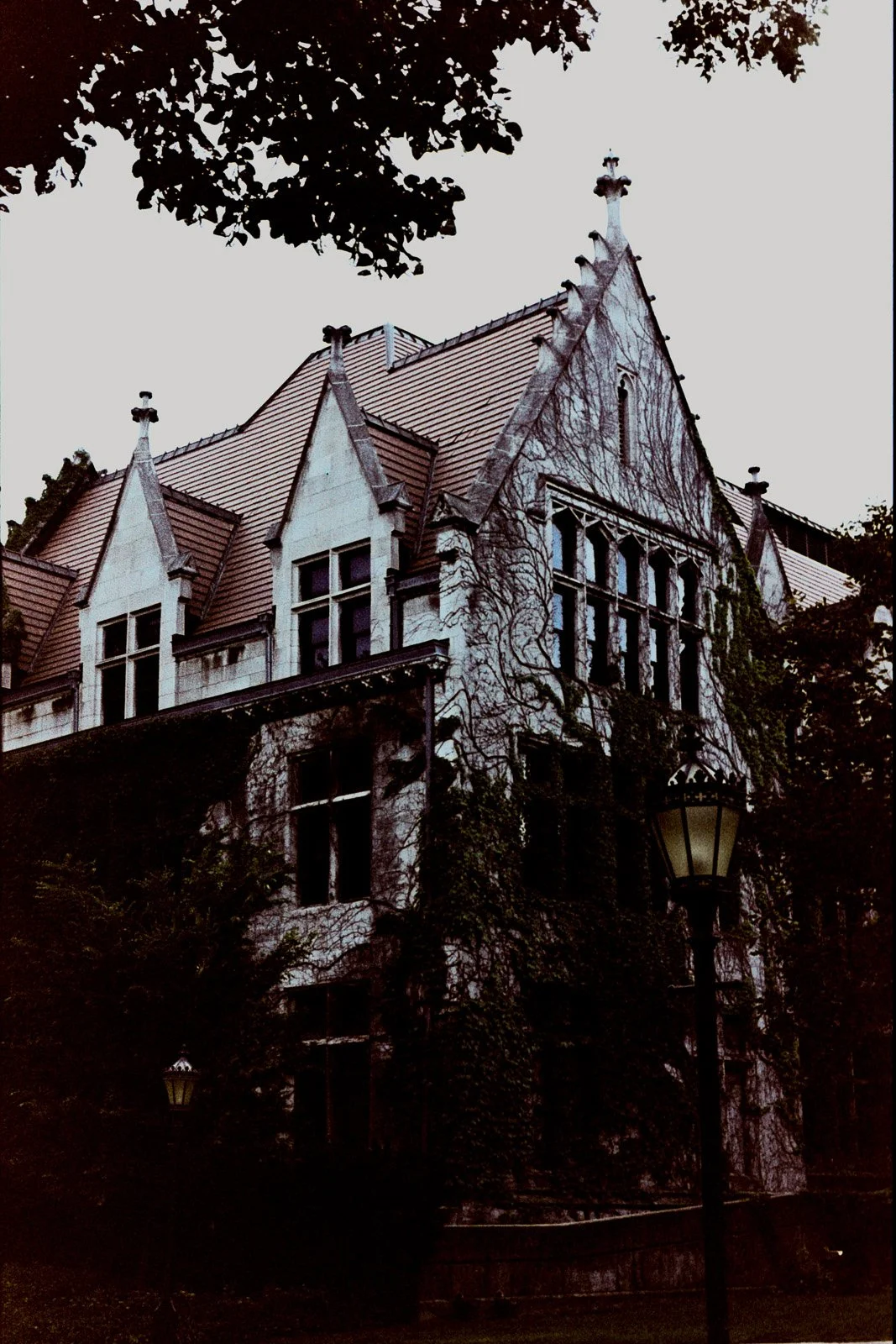 CHICAGO ANALOG-8.jpg