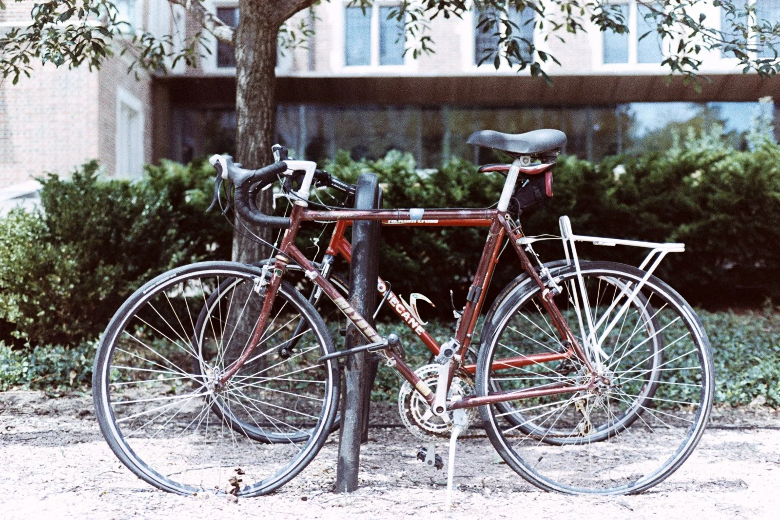CHICAGO ANALOG-2.jpg