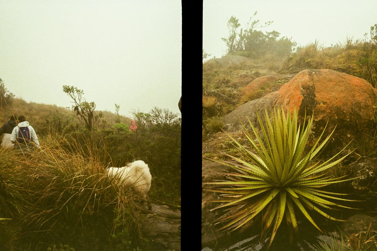 MATAREDONDA-11.jpg