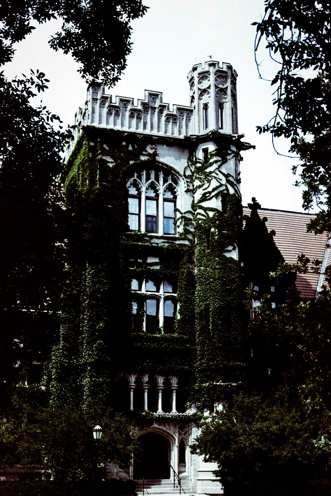 CHICAGO ANALOG-3.jpg