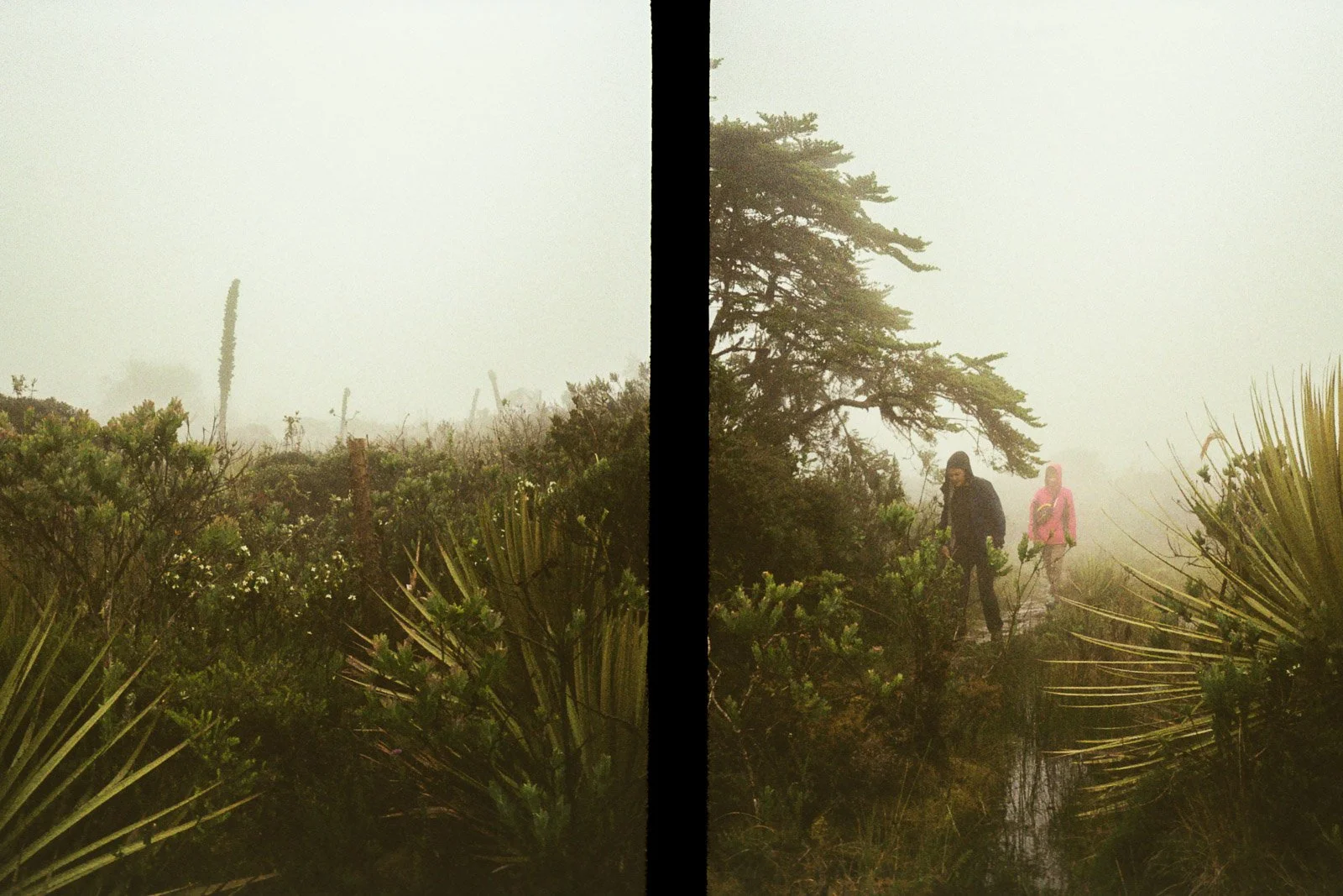 MATAREDONDA-10.jpg