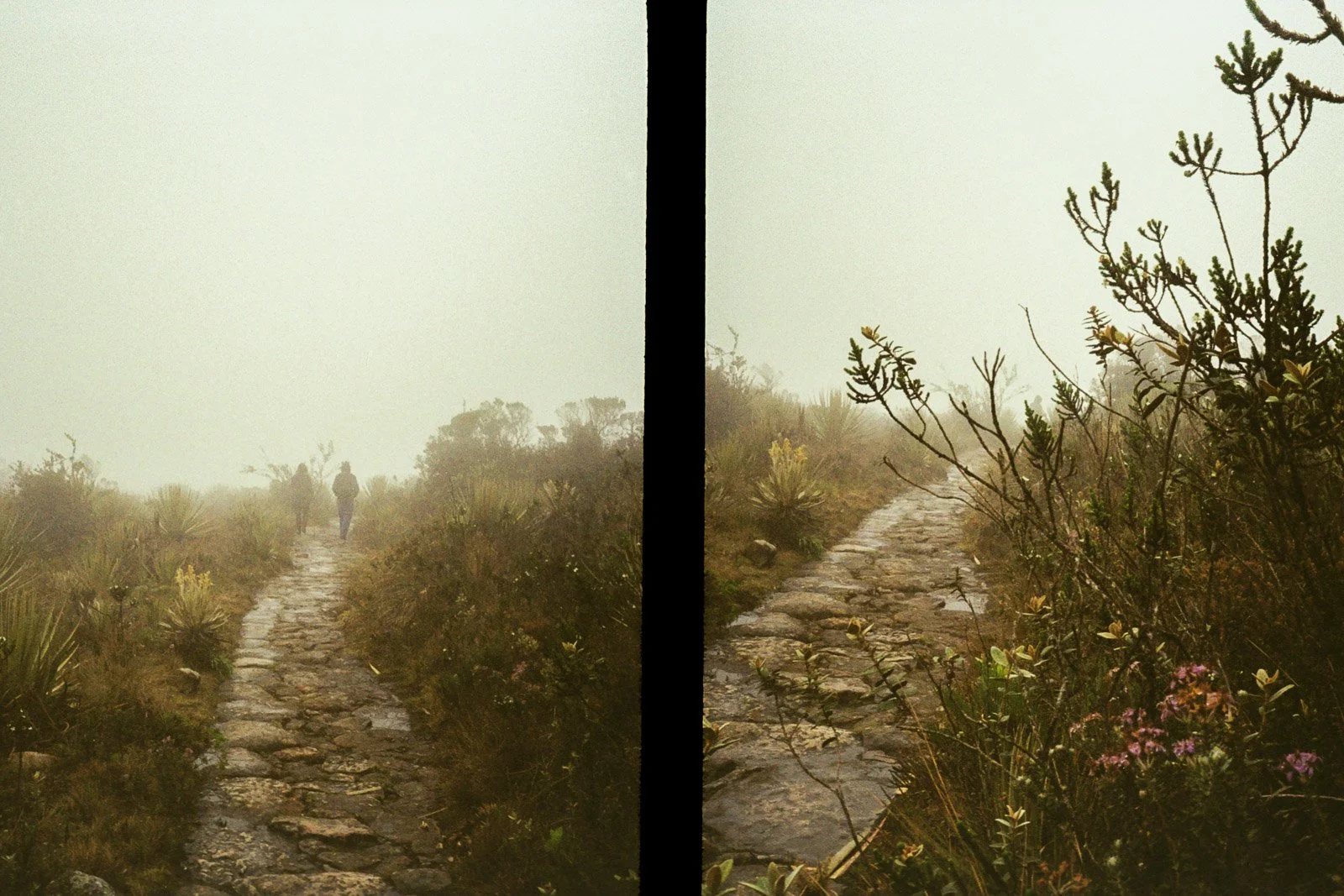 MATAREDONDA-8.jpg